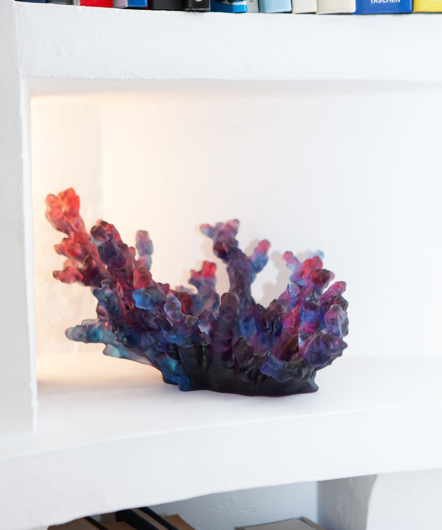 Mer de Corail Coupe moyen modèle Bleue et rouge - Daum