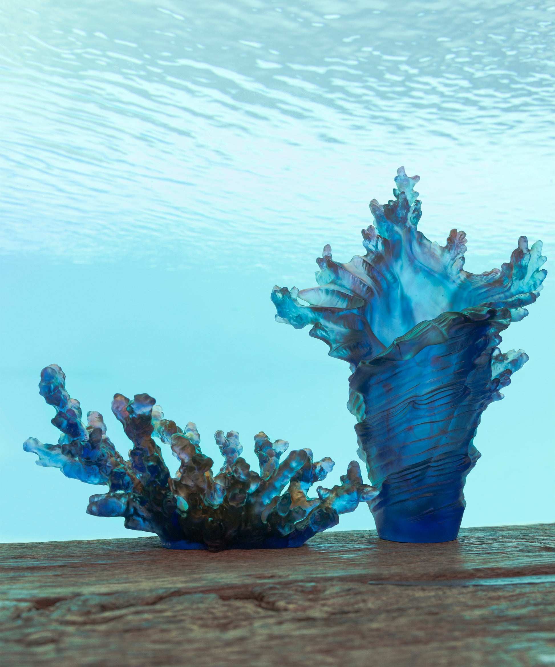 Mer de Corail Coupe moyen modèle Bleue et rouge - Daum