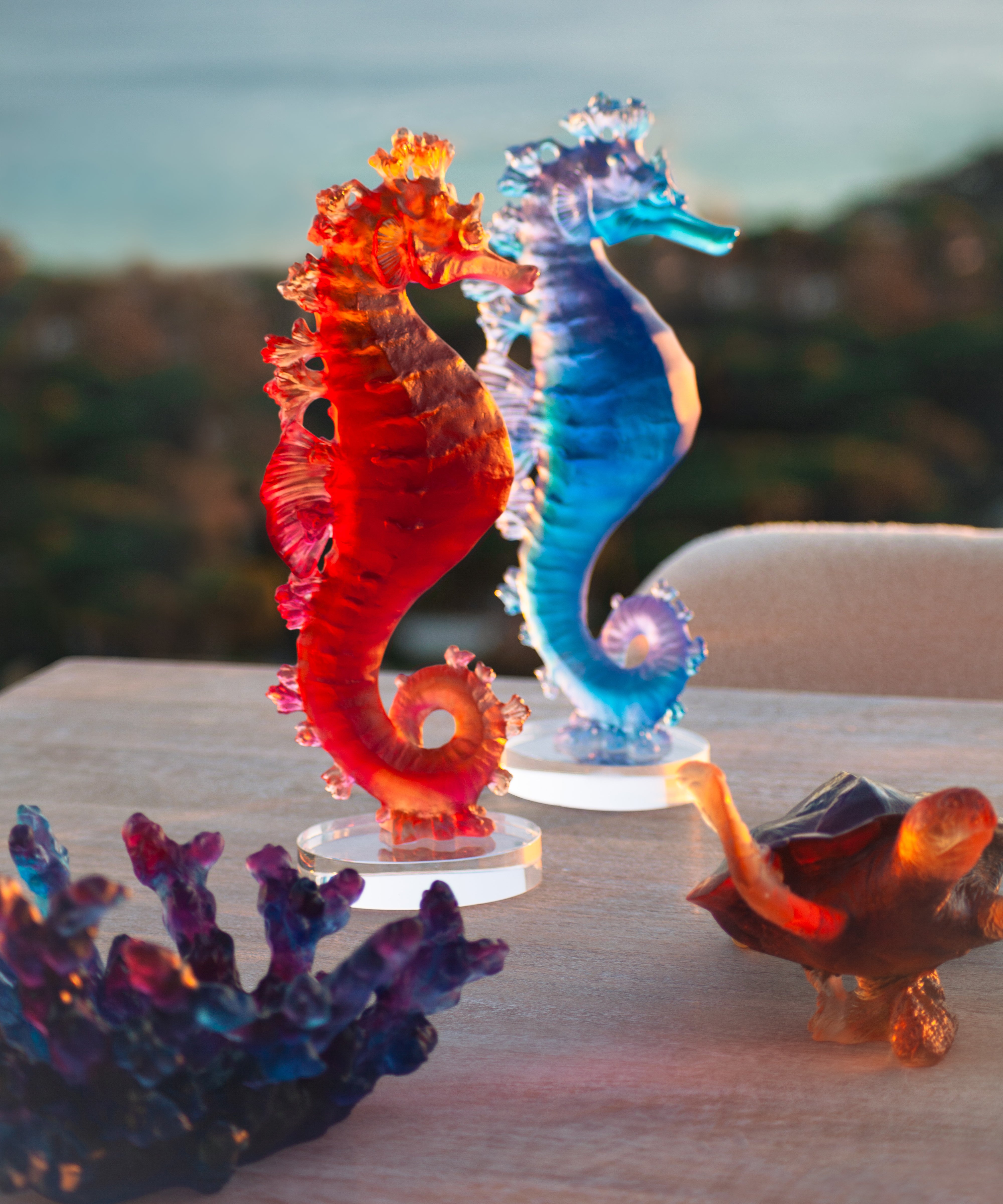 Mer de Corail Hippocampe Ambre rouge