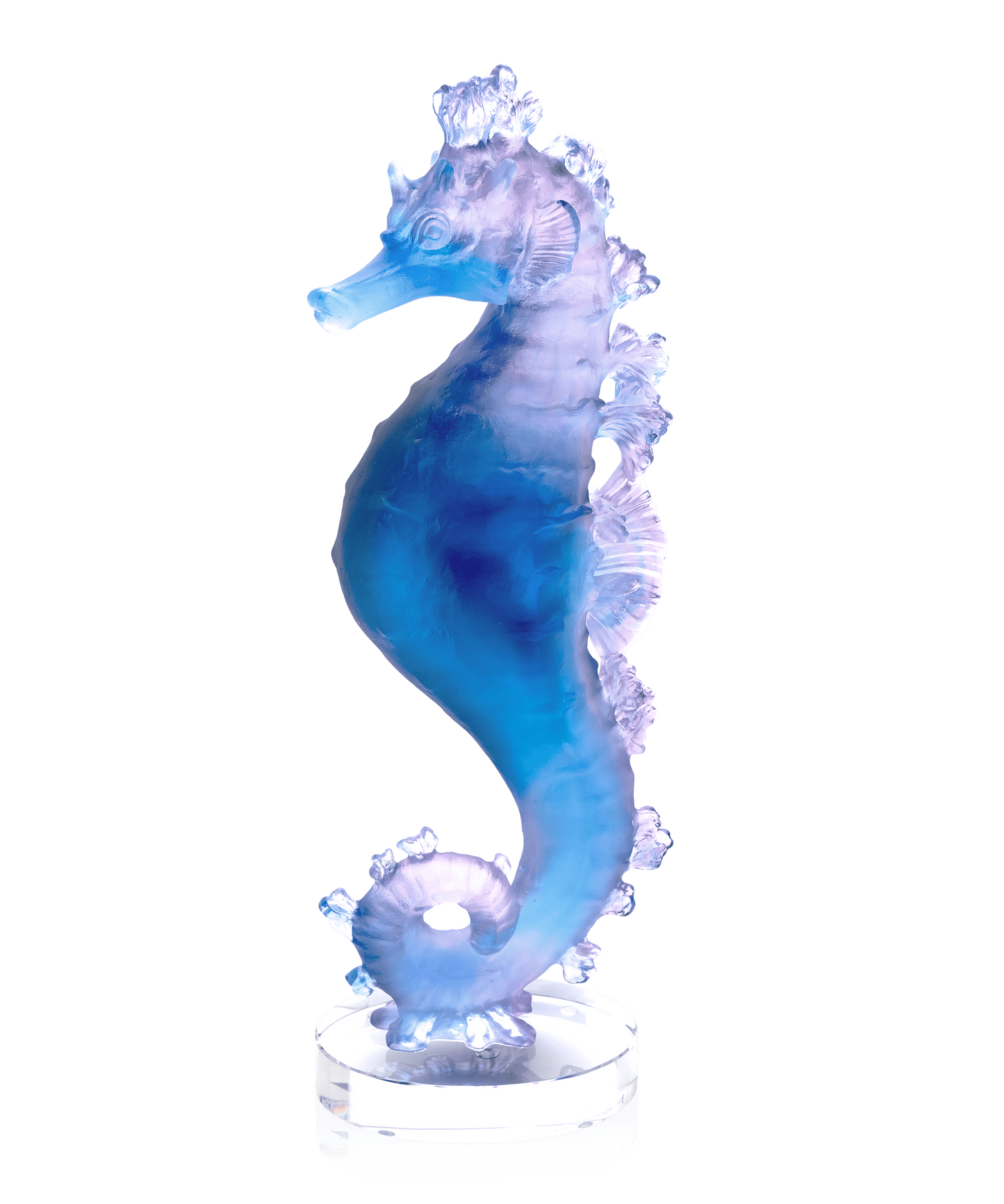 Mer de Corail Hippocampe Bleu et rose