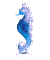 Mer de Corail Seahorse Blue and pink