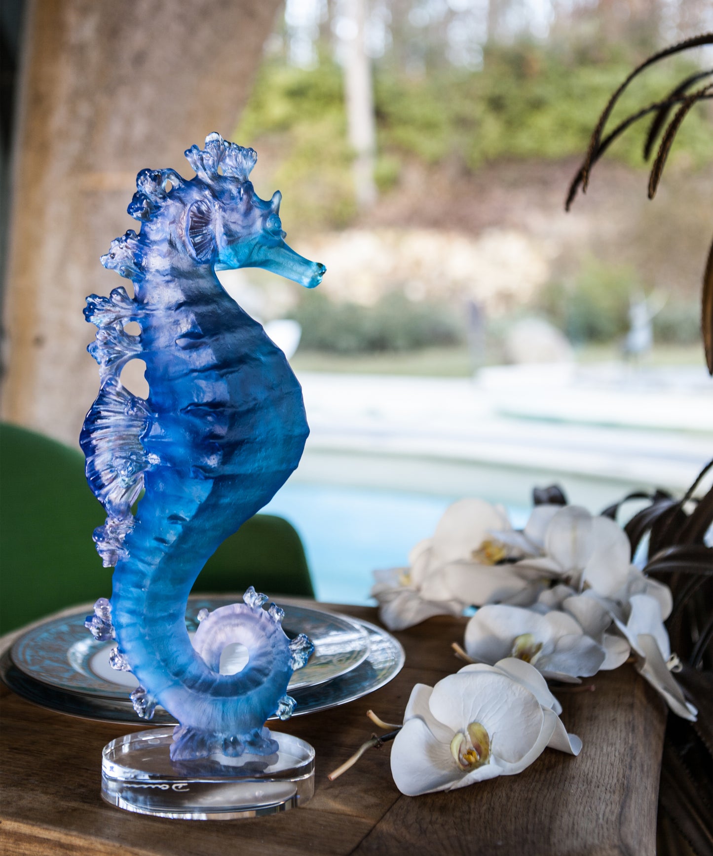 Mer de Corail Hippocampe Bleu et rose