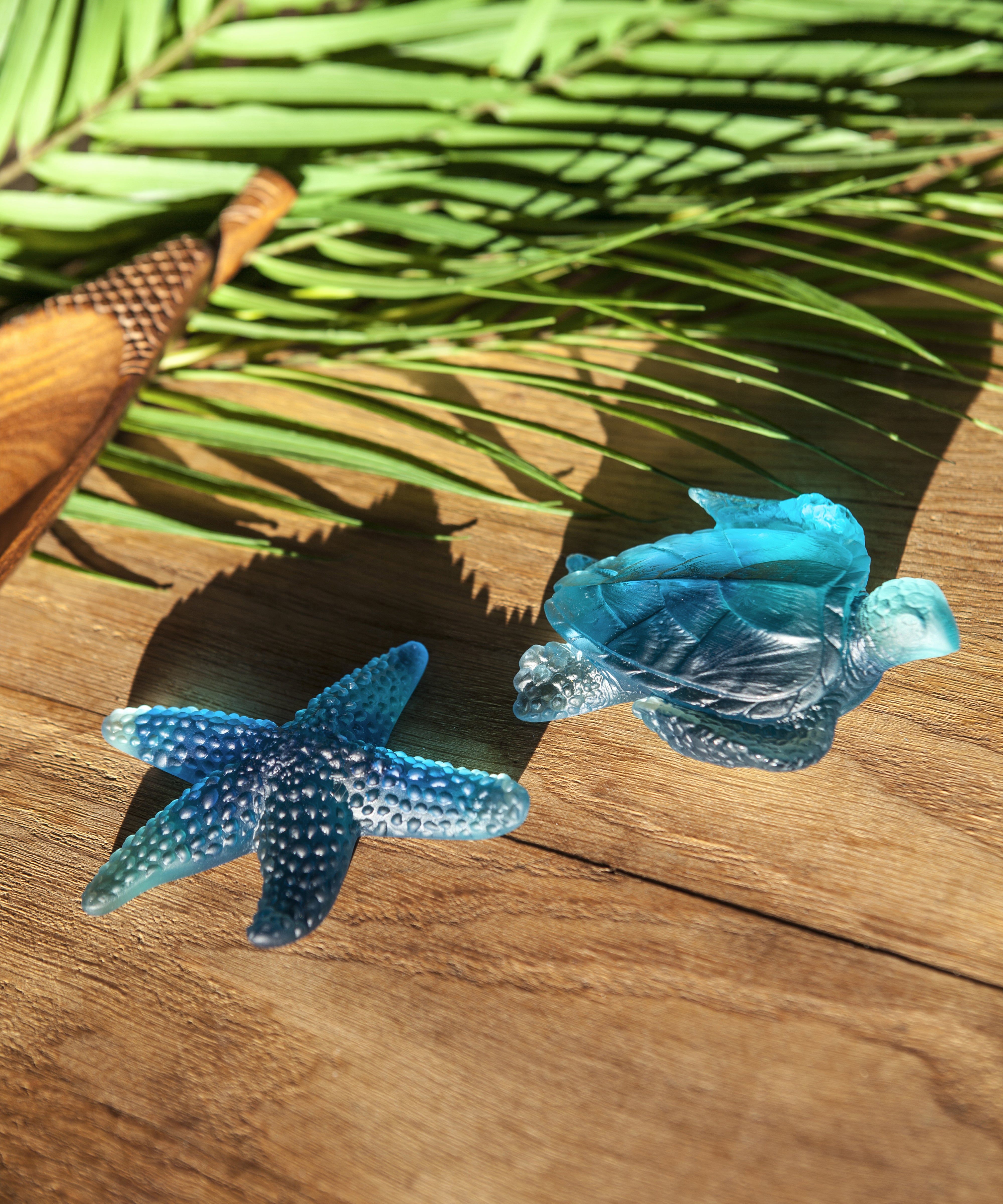 Mer de Corail Tortue de mer moyen modèle Bleue