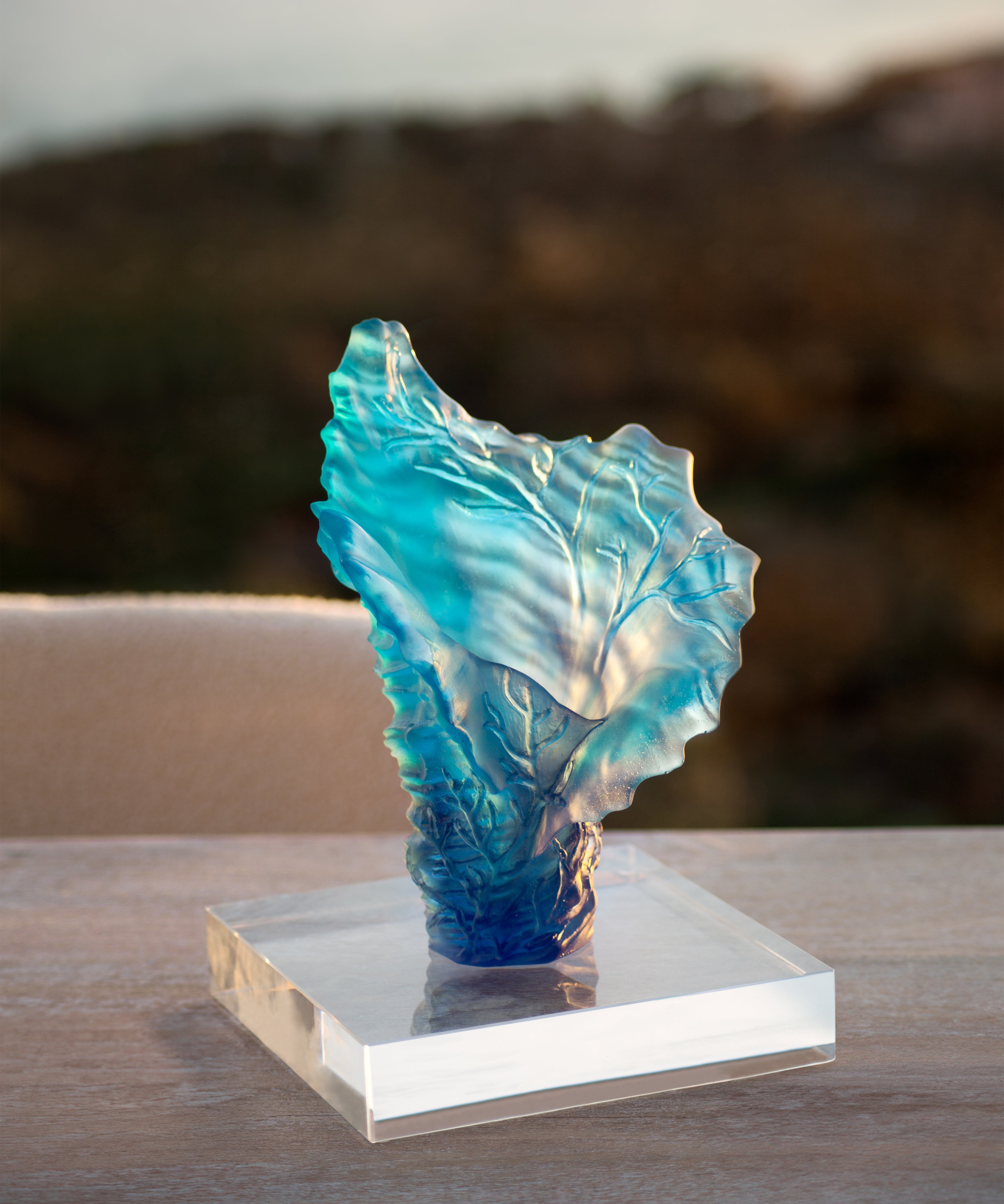 Mer de Corail – Daum