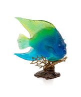 Mer de Corail Ange royal Bleu et jaune 125ex