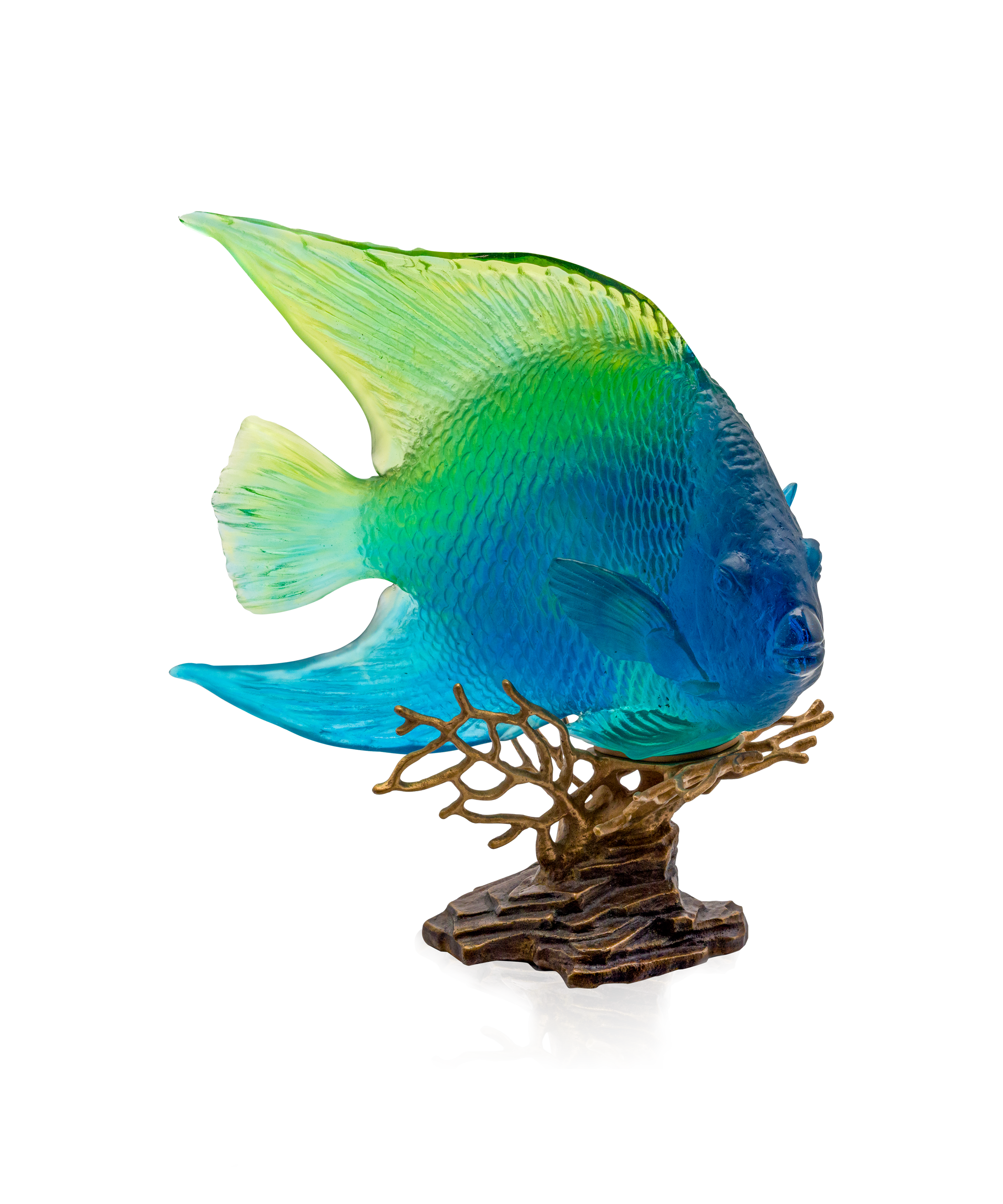 Mer de Corail Ange royal Bleu et jaune 125ex