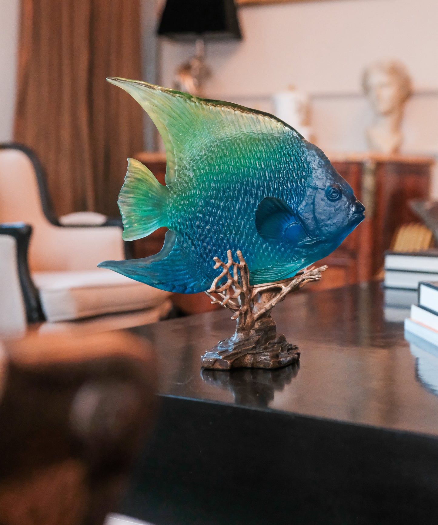 Mer de Corail Royal angelfish Blue and yellow 125ex