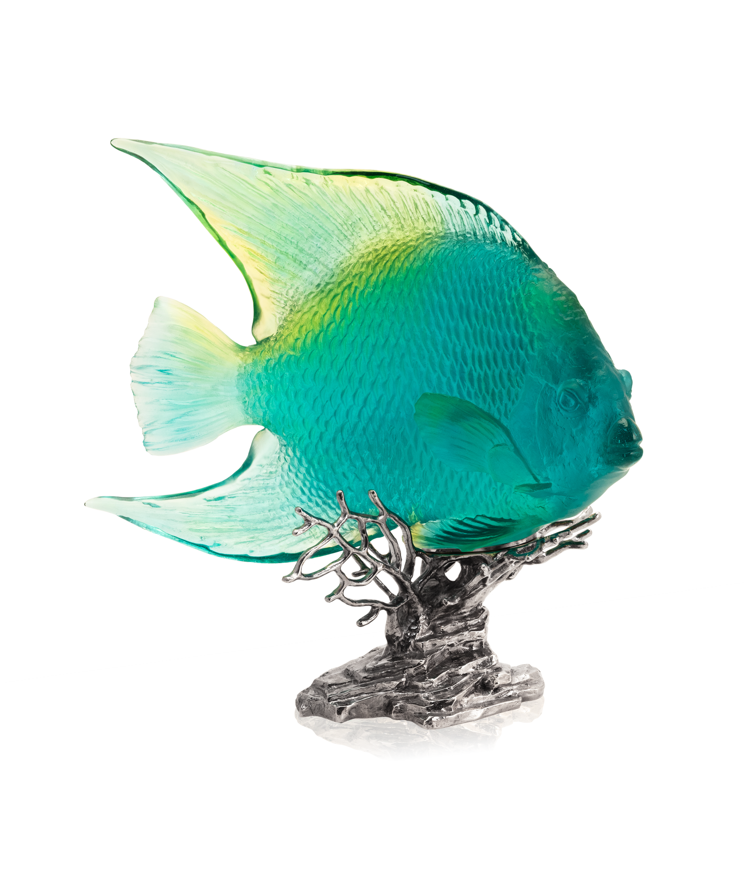 Mer de Corail Ange royal Turquoise