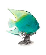 Mer de Corail Ange royal Turquoise