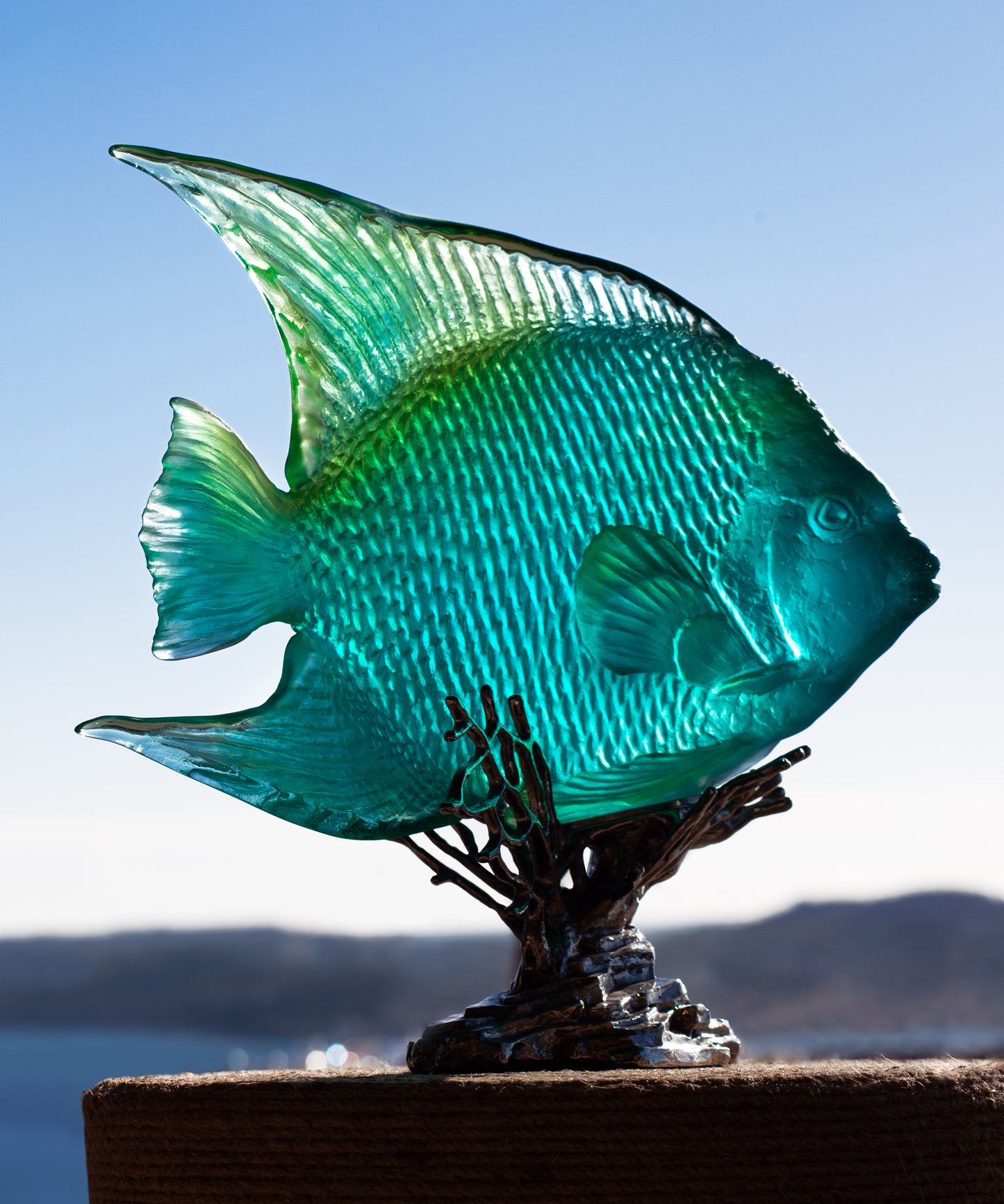 Mer de Corail Ange royal Turquoise