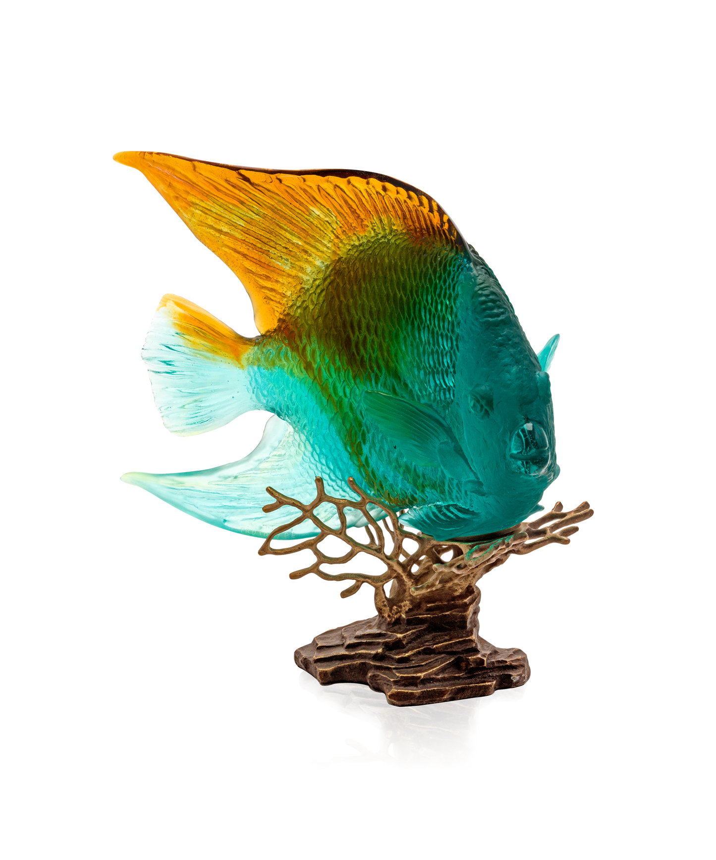 Mer de Corail Ange royal Ambre et vert 125ex