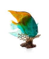 Mer de Corail Ange royal Ambre et vert 125ex