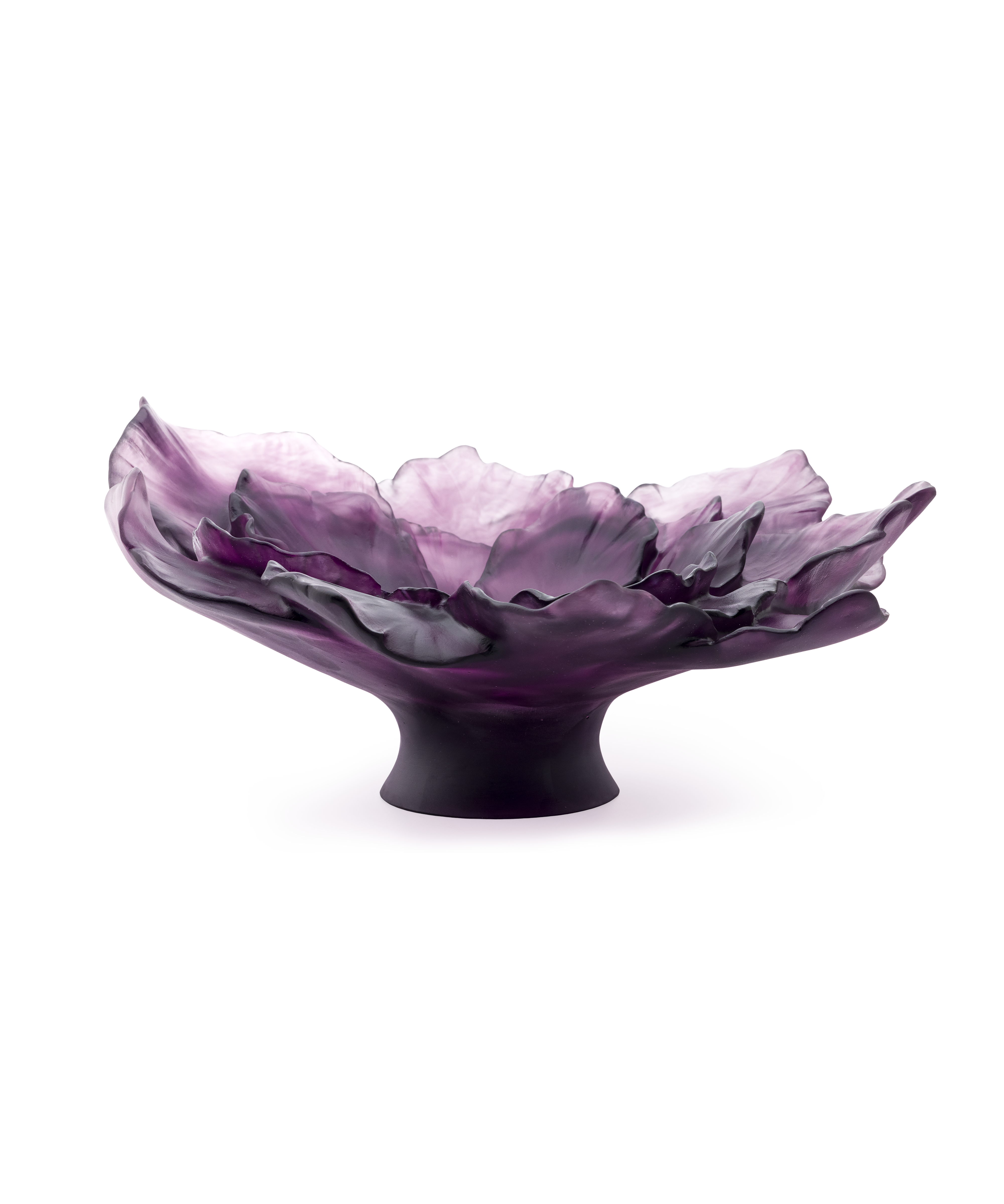 Camelia Coupe grand modèle Violette