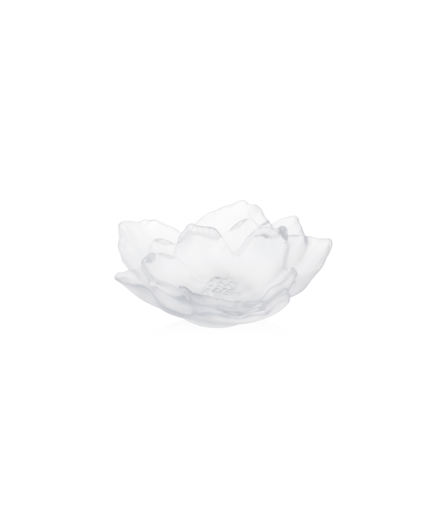 Camelia Coupe petit modèle Blanche