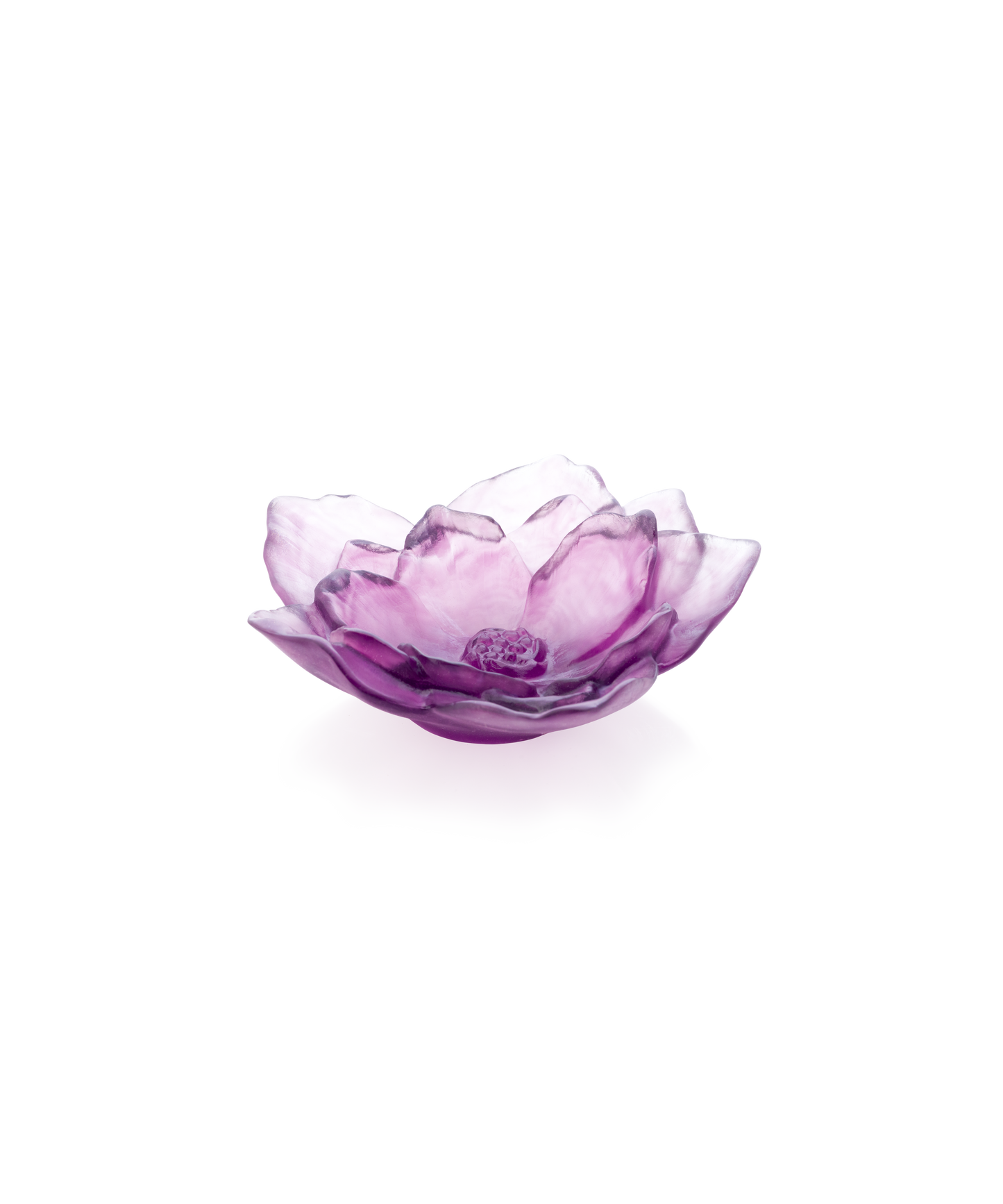 Camelia Coupe petit modèle Violette