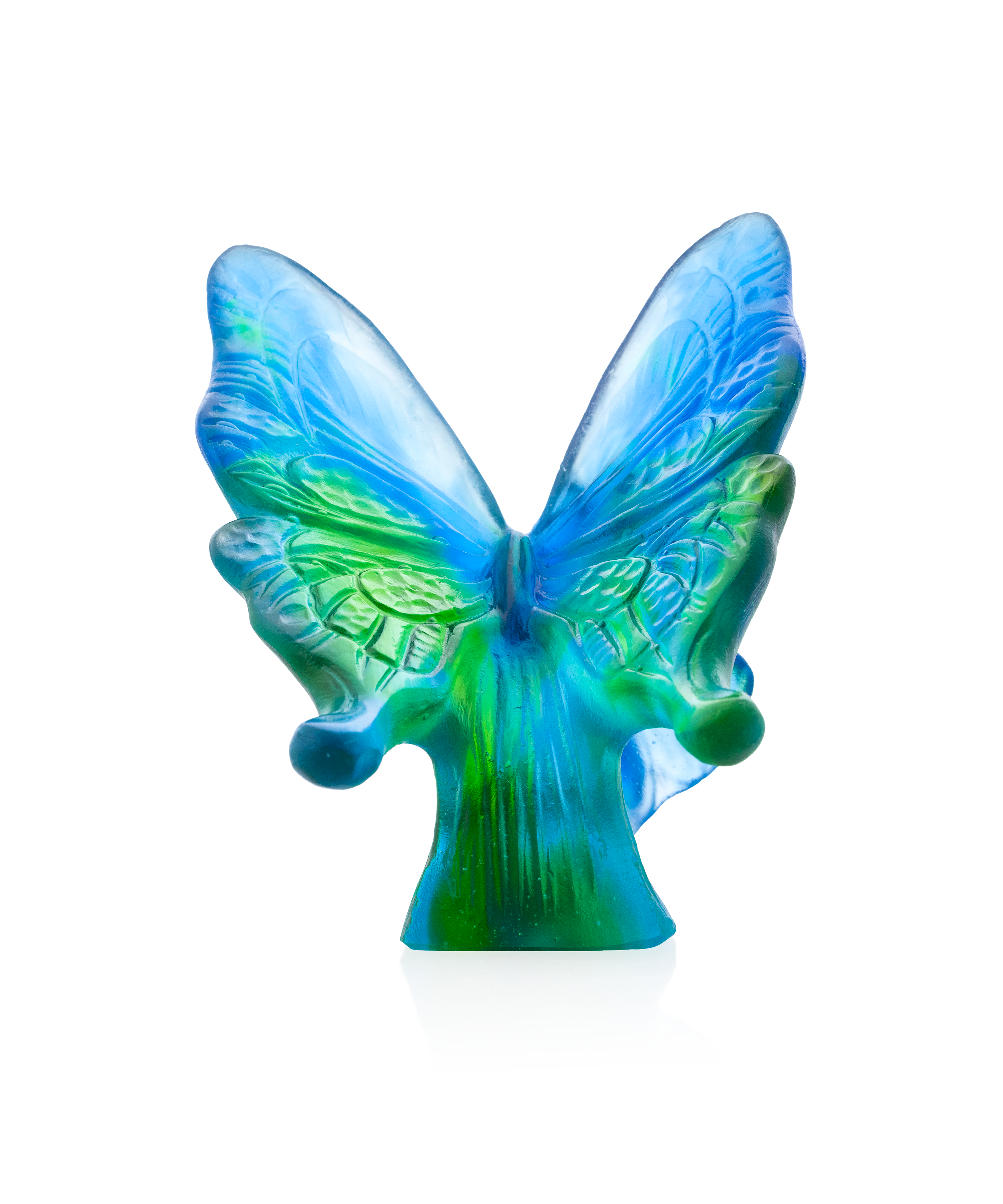 Papillon Bleu et vert