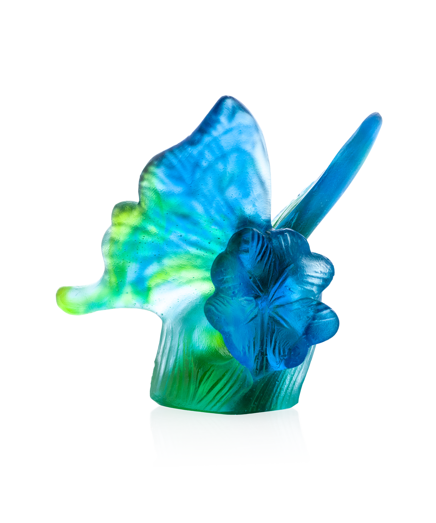 Butterfly Blue and green