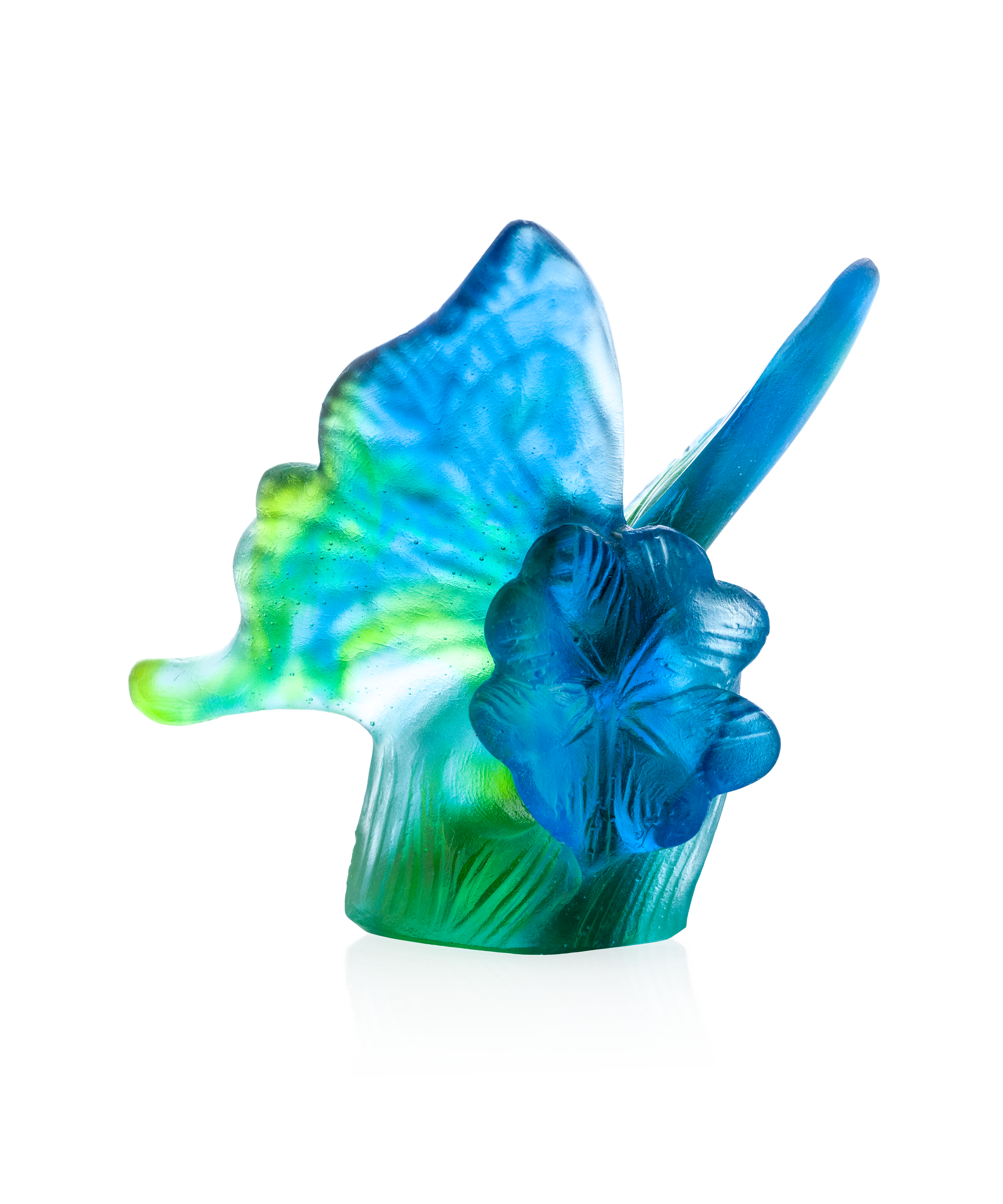 Papillon Bleu et vert