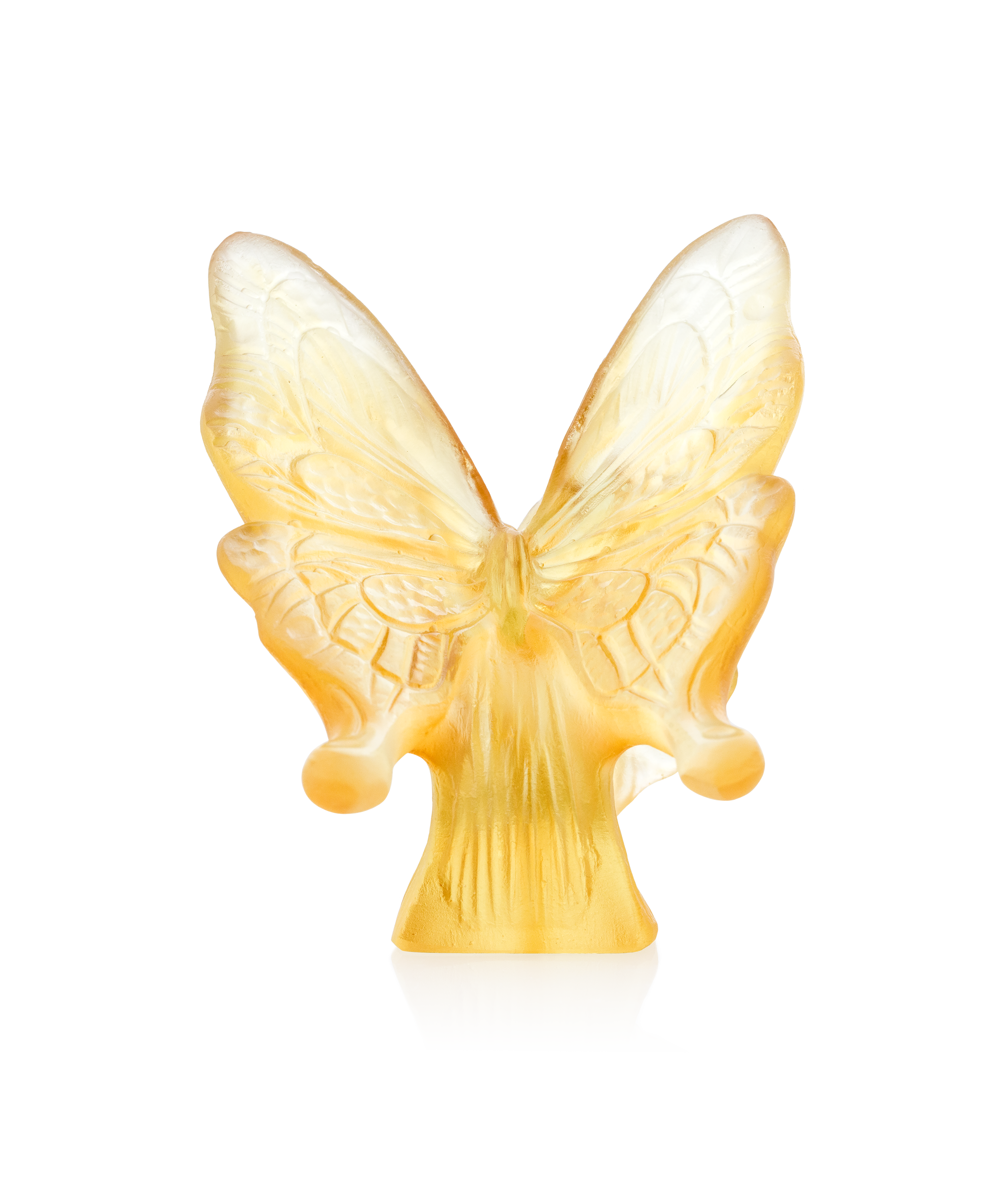 Butterfly Amber and yellow