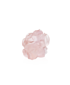 Fleur décorative en verre Camélia de la marque Daum, avec des pétales délicats et des détails artistiques.