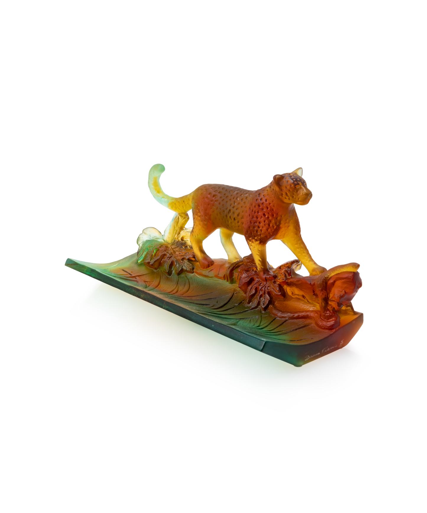 Léopard Tropical Plumier