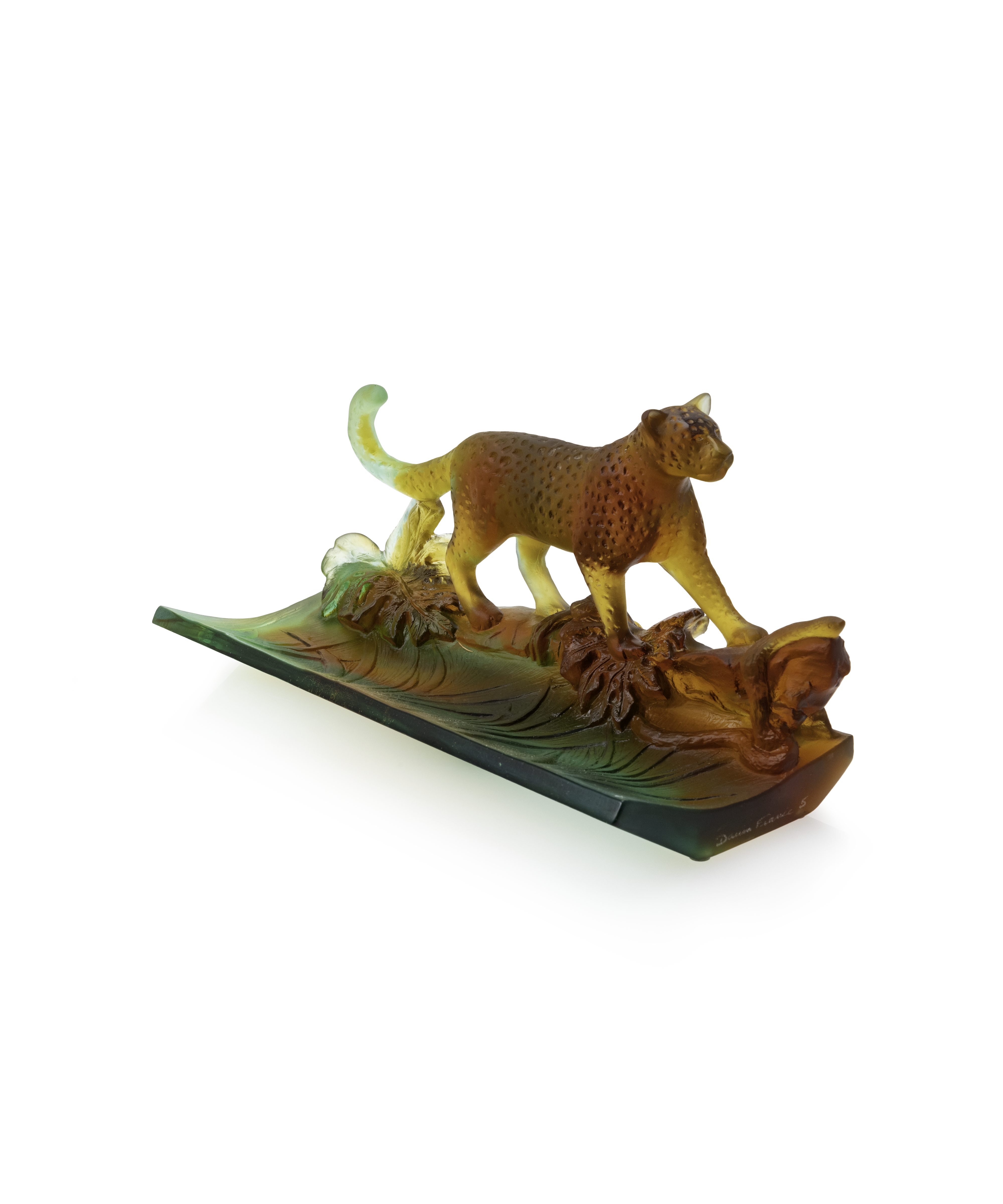 Léopard Tropical Plumier