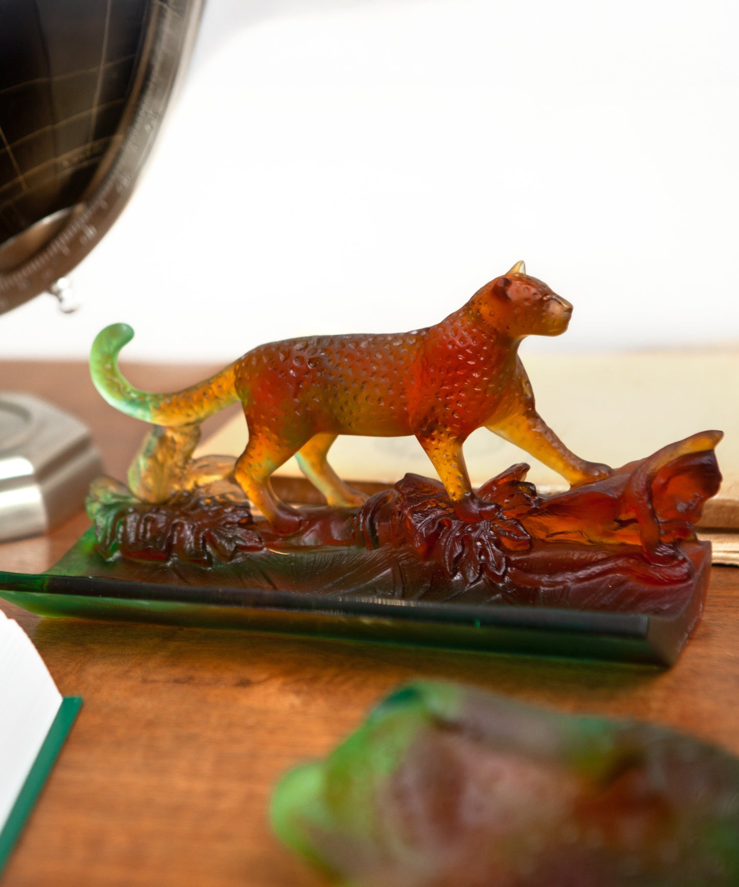 Léopard Tropical Plumier