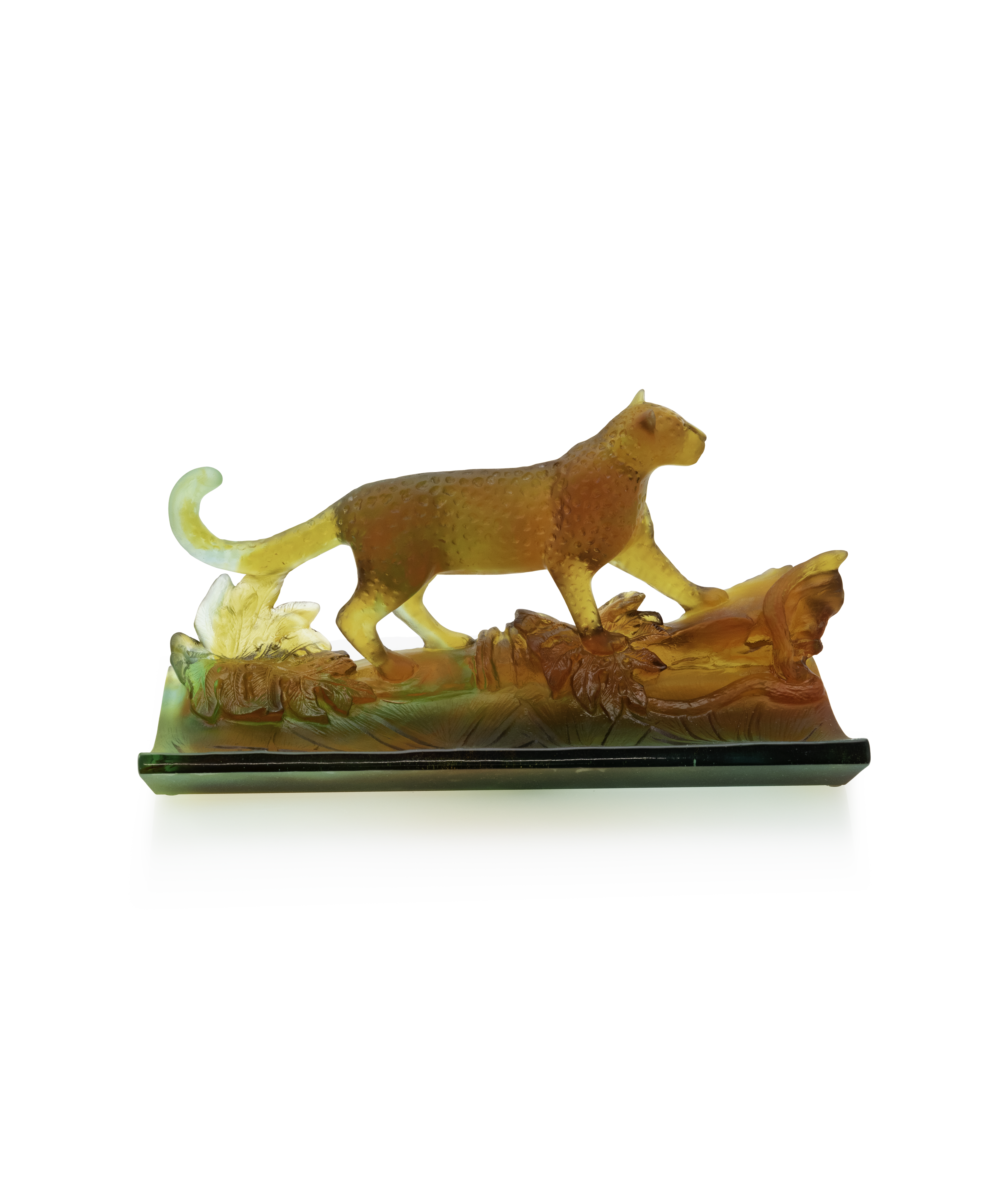 Léopard Tropical Plumier