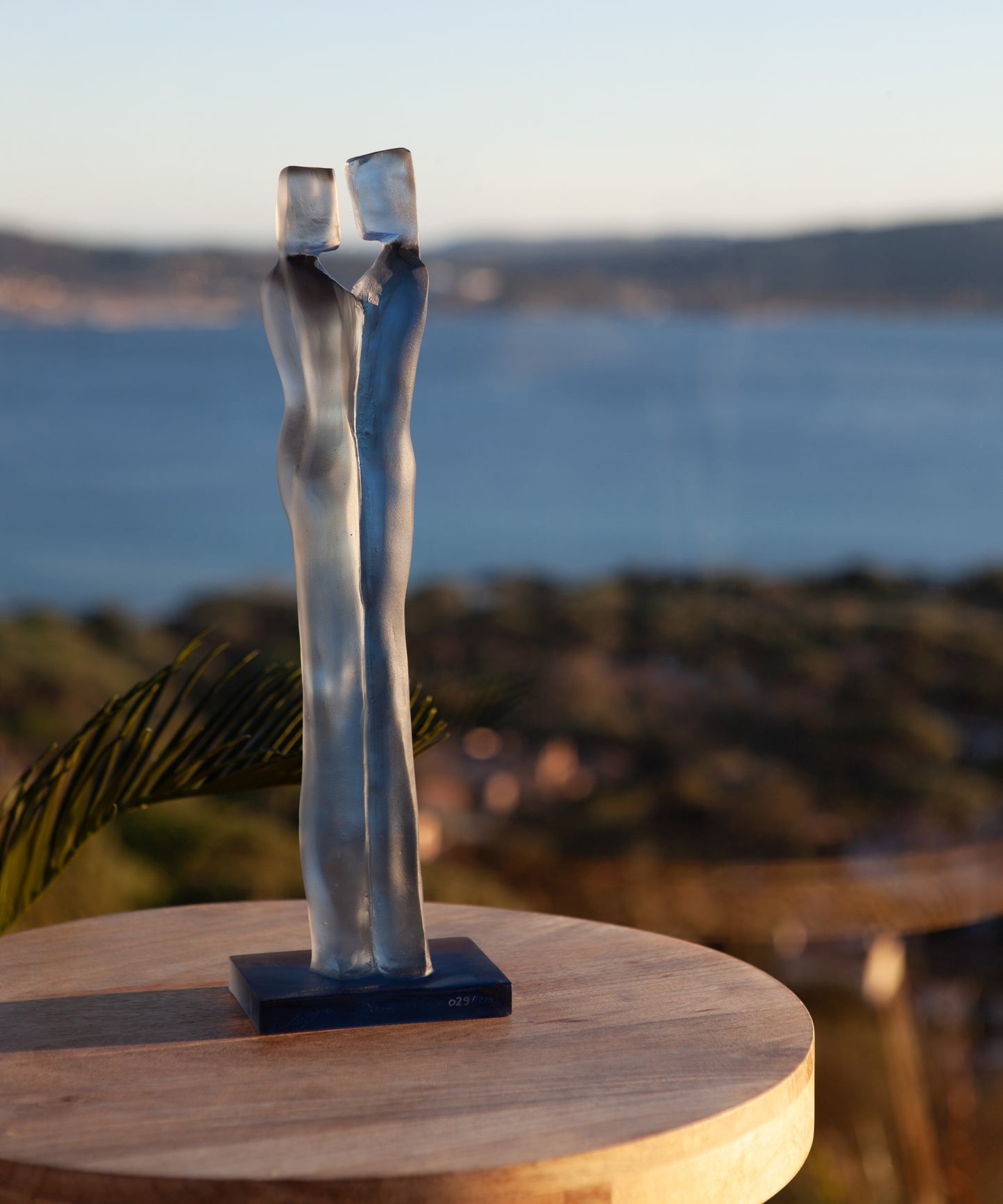 Evidence de Laurence Bonnel 225ex