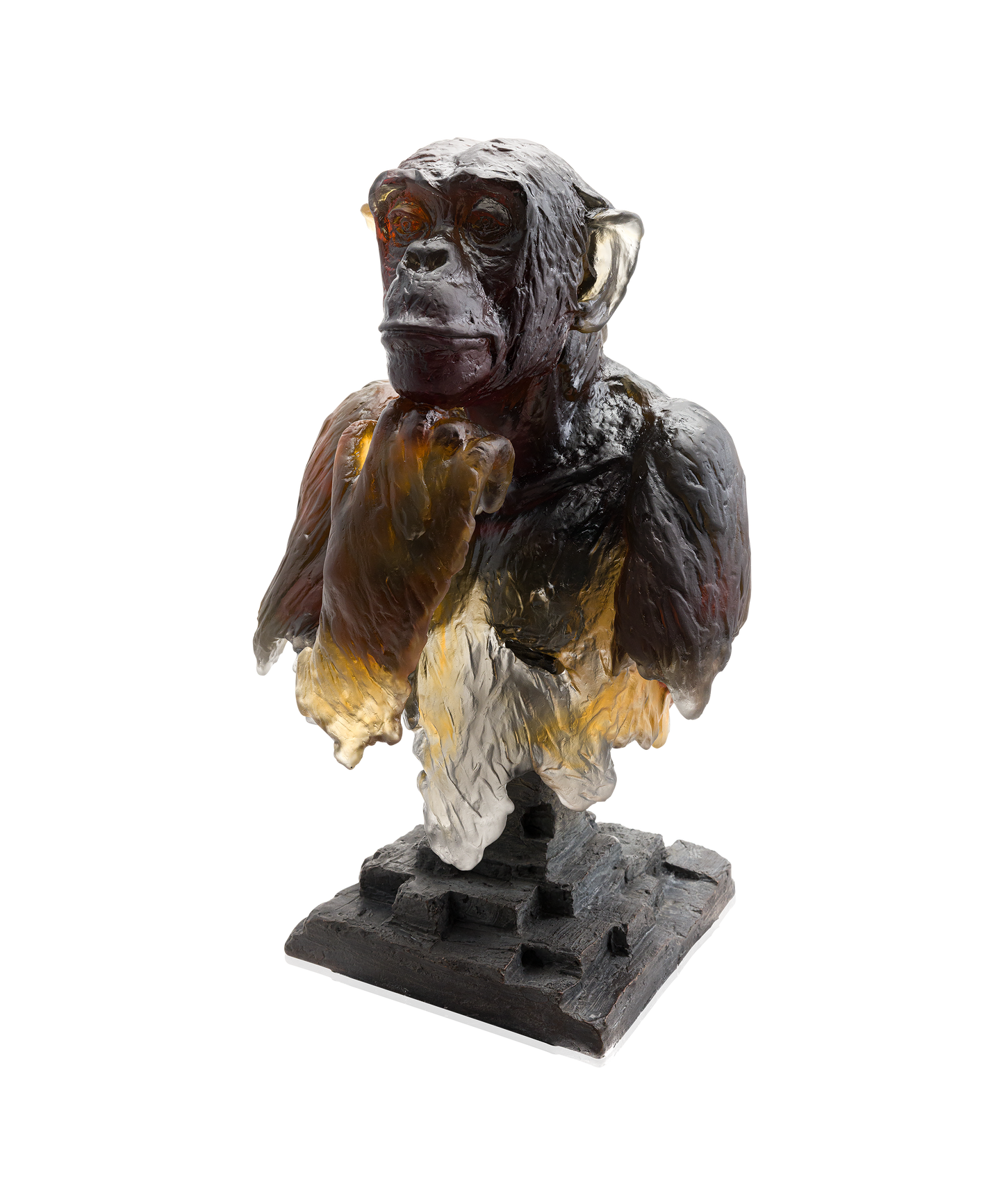 Cogito by Isabelle Carabantes 50ex