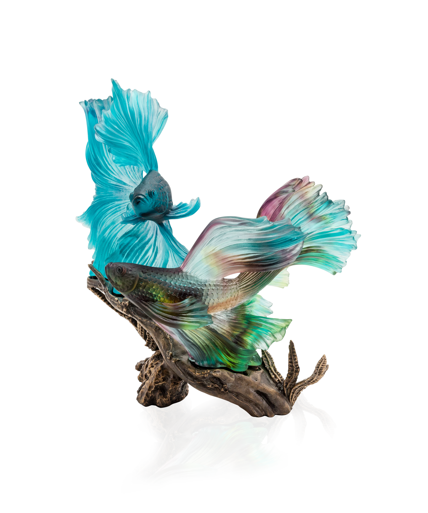 Mer de Corail La danse des combattants 99ex