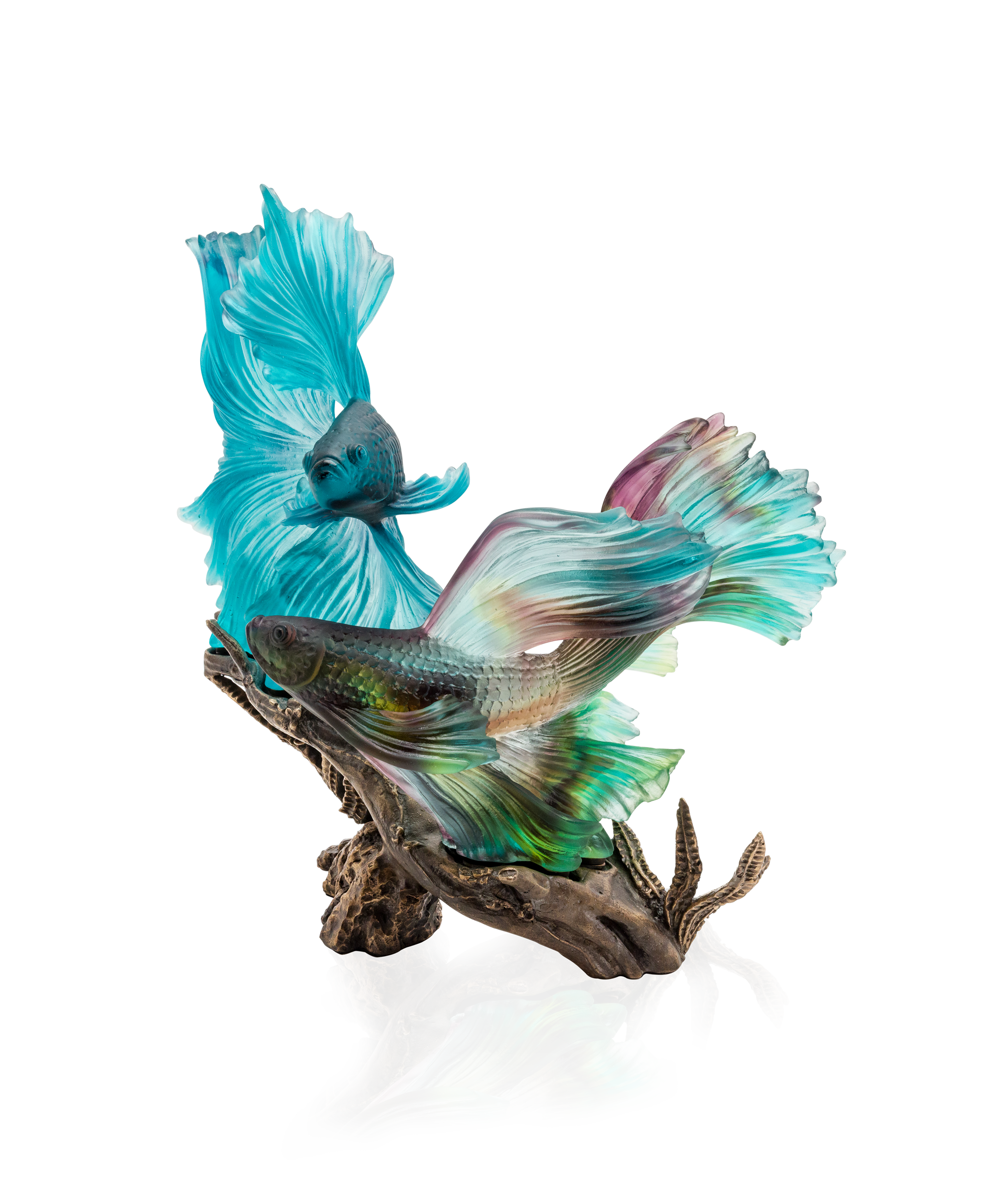 Mer de Corail La danse des combattants 99ex