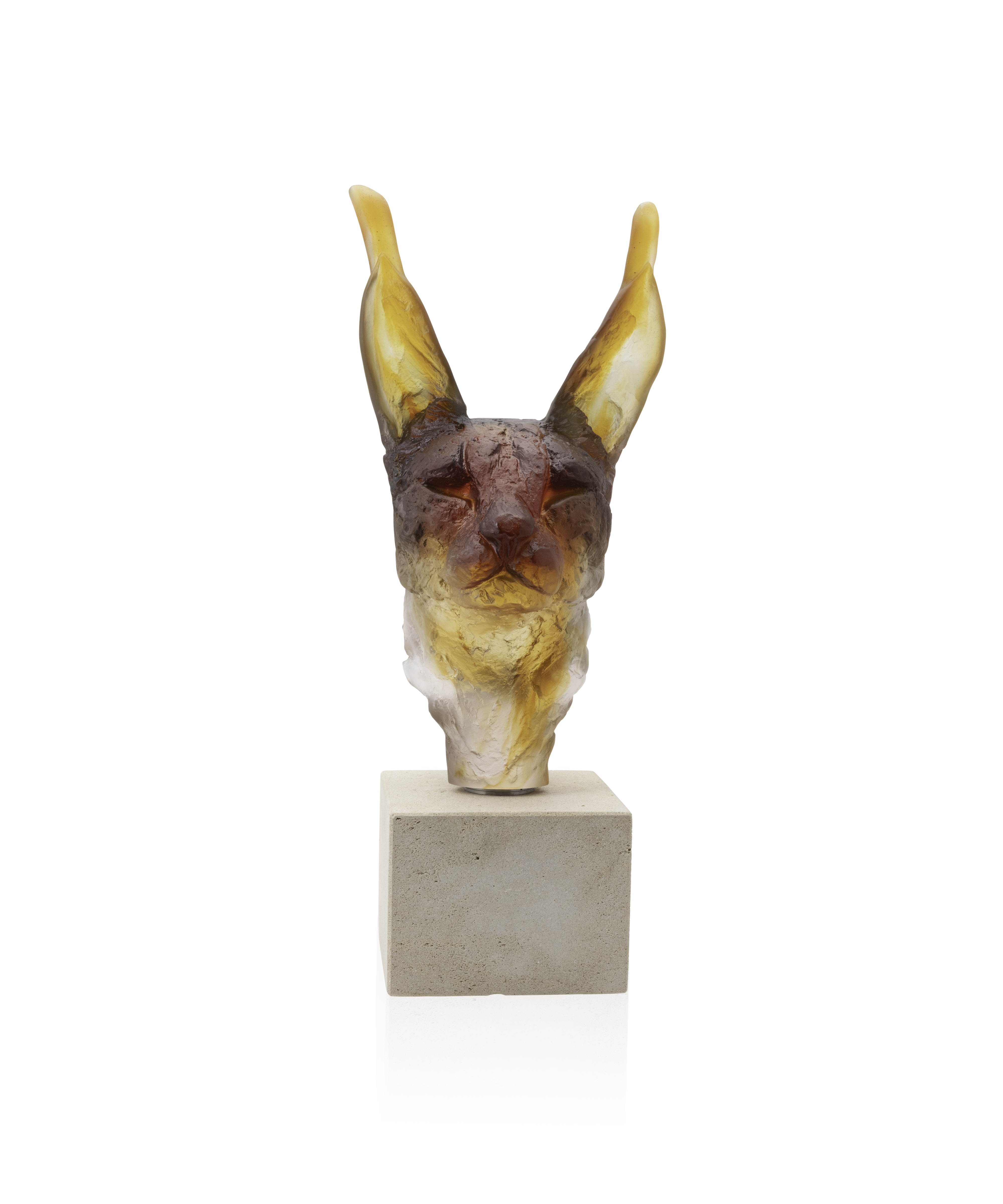 Tête de Caracal de Isabelle Carabantes 75ex