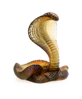 Naja Ambre et gris 500ex