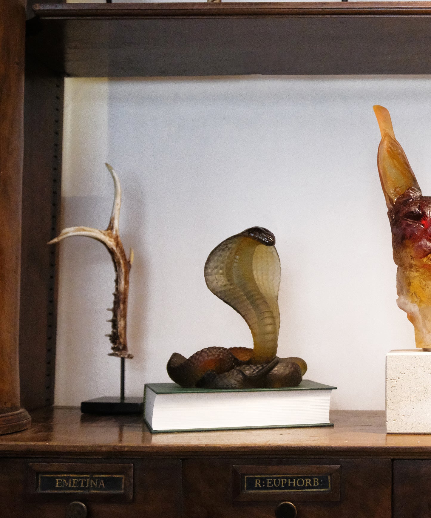 Naja Ambre et gris 500ex