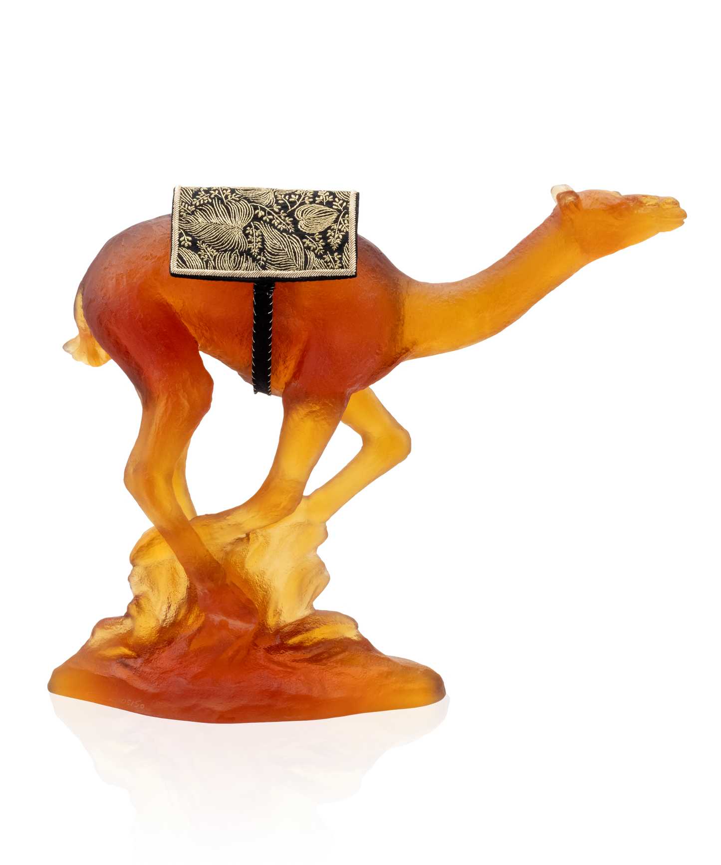 Dromadaire de course 50ex