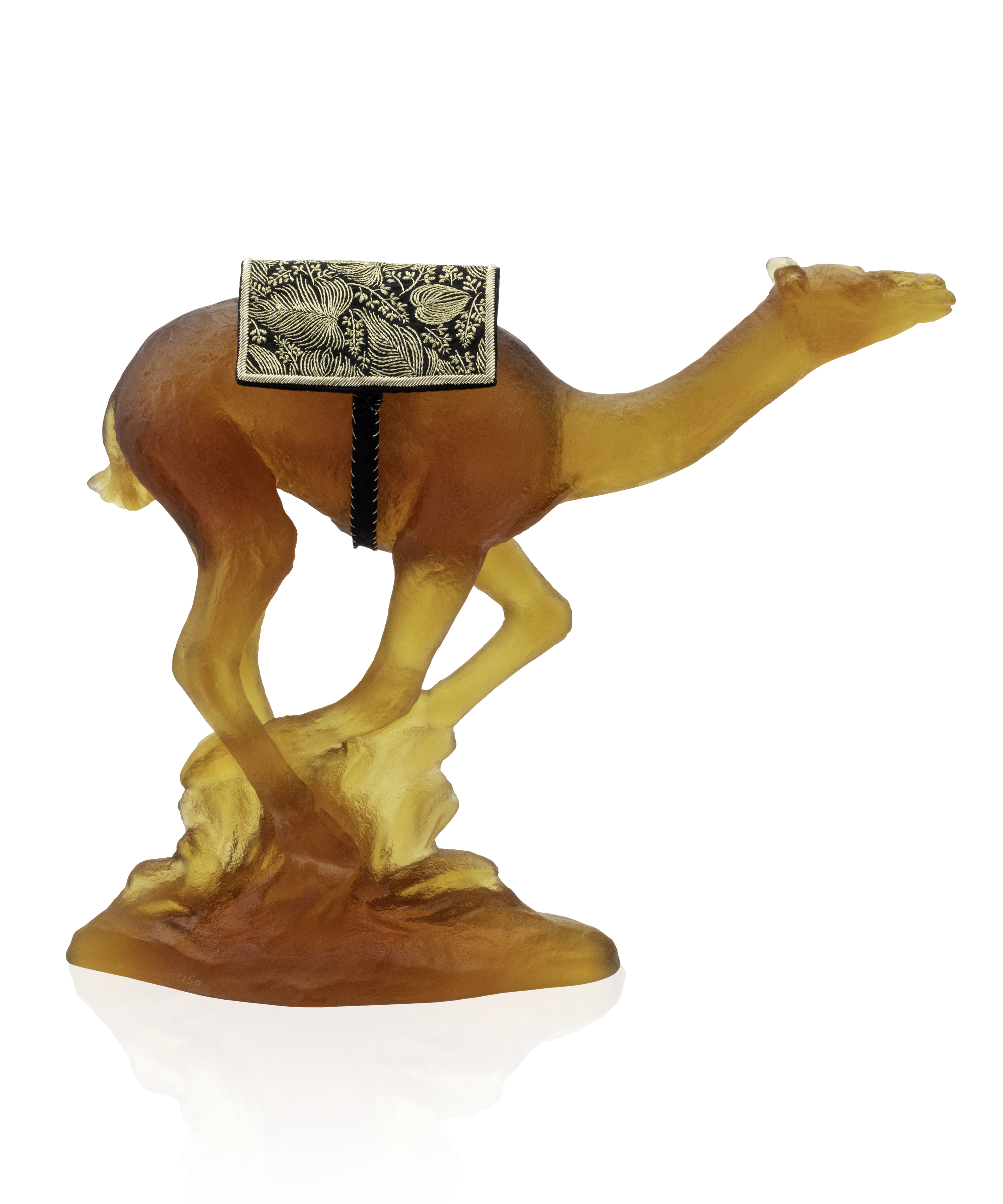 Dromadaire de course 50ex