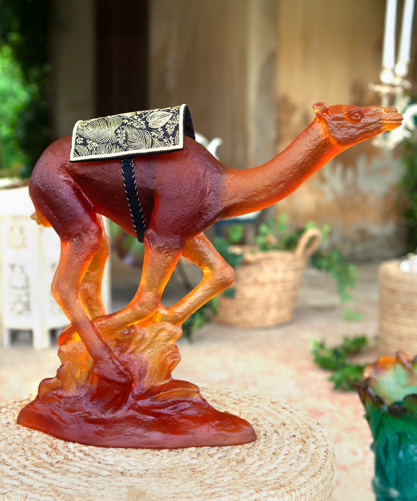 Dromadaire de course 50ex