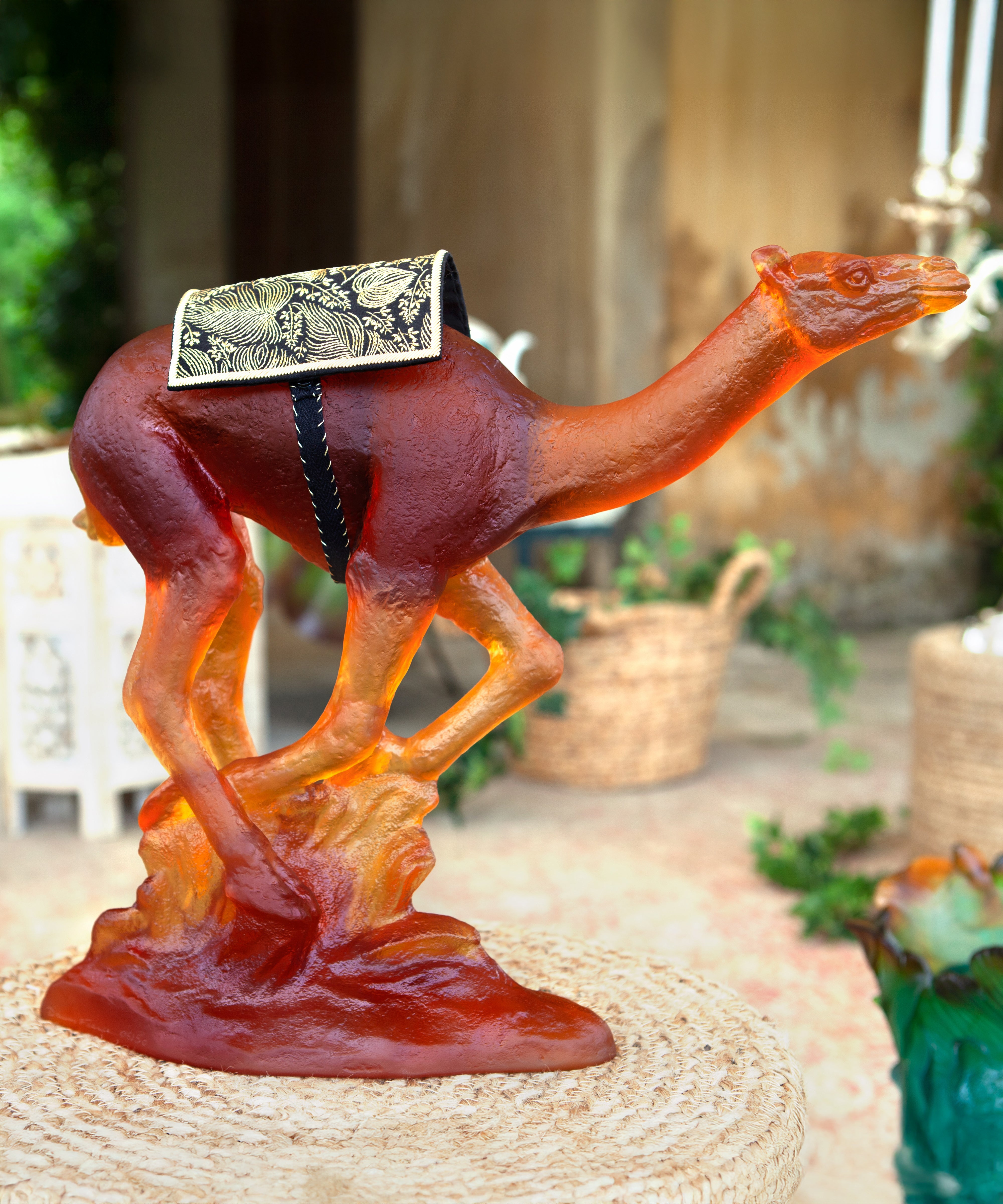 Dromadaire de course 50ex