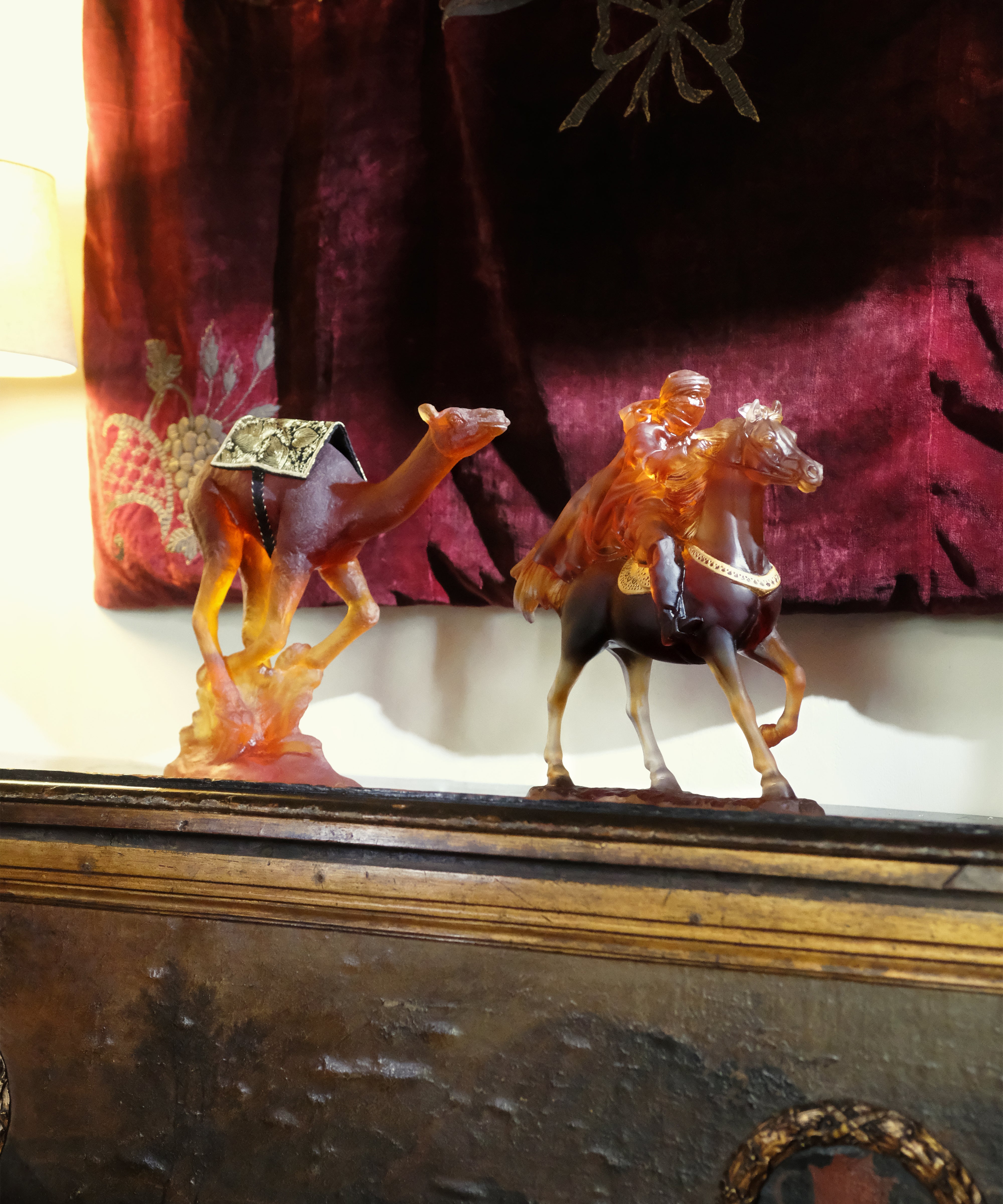 Dromadaire de course 50ex