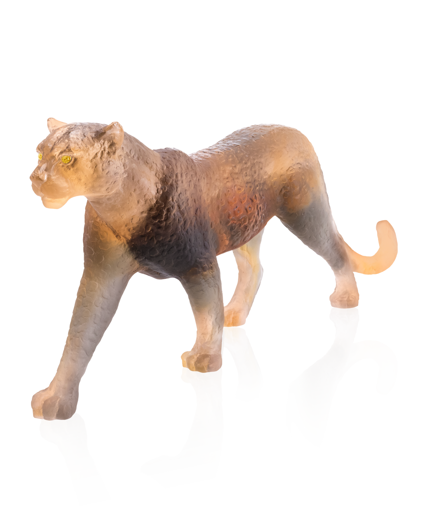 Panthère Jaipur 50ex