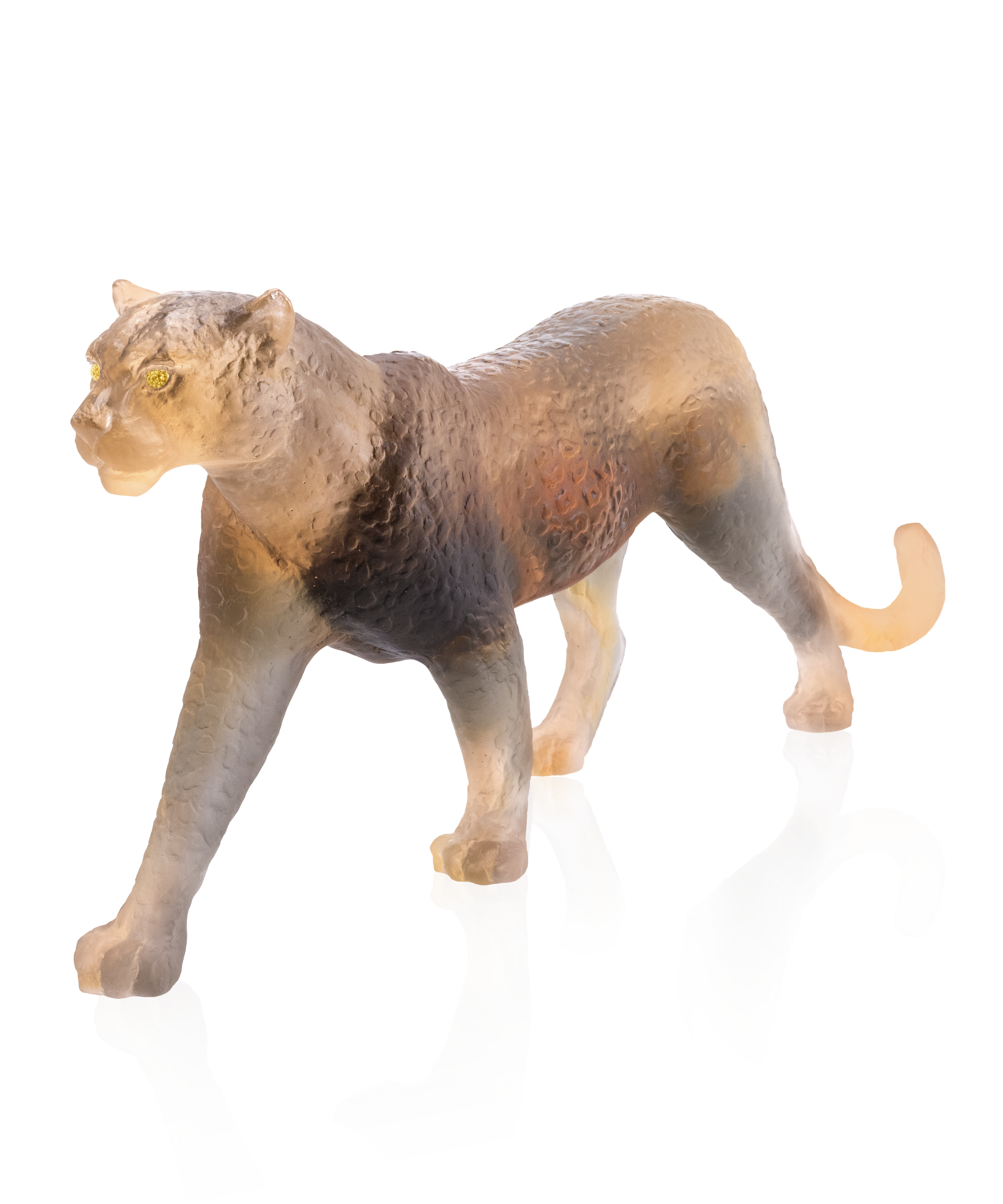 Panthère Jaipur 50ex