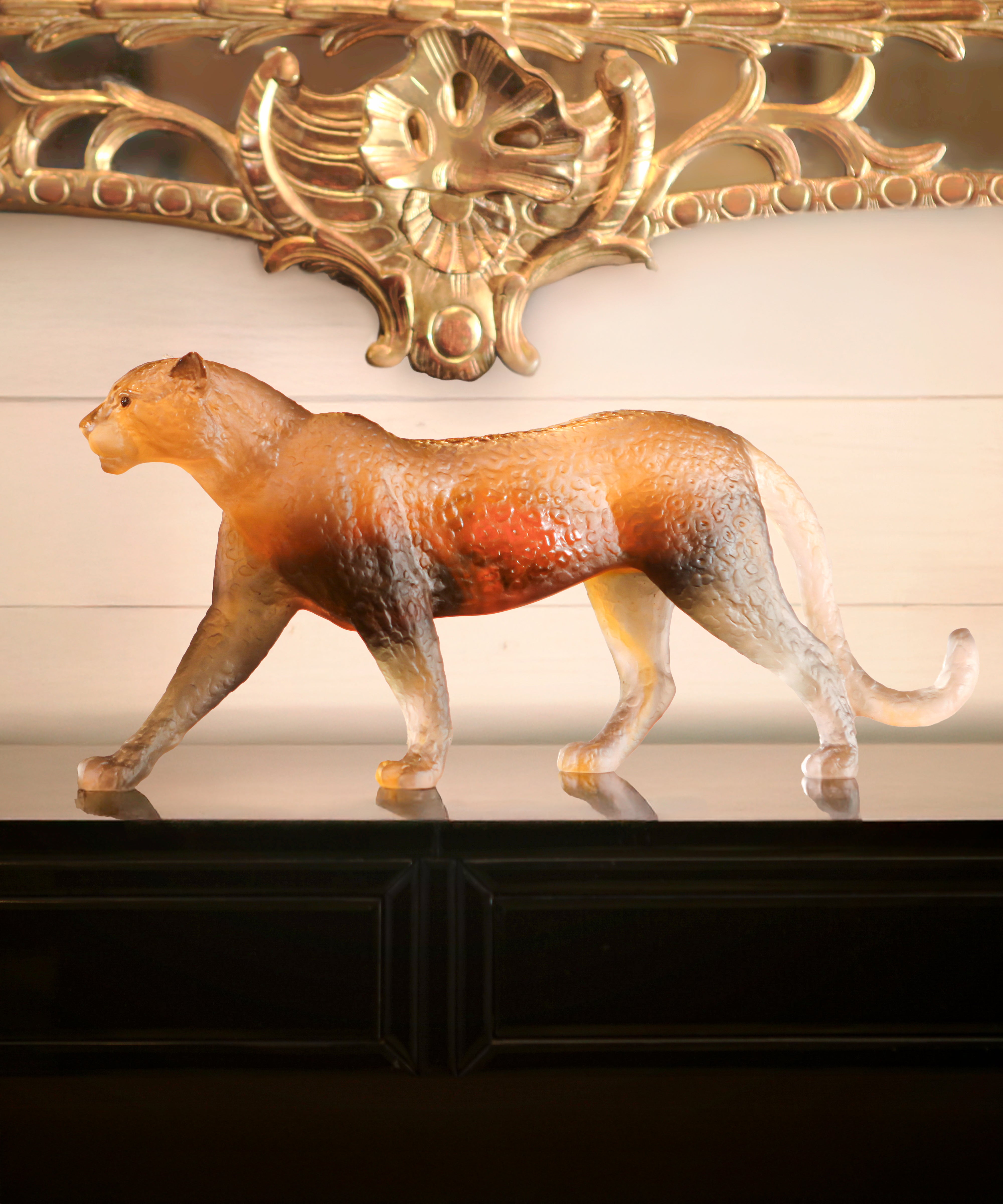 Panthère Jaipur 50ex