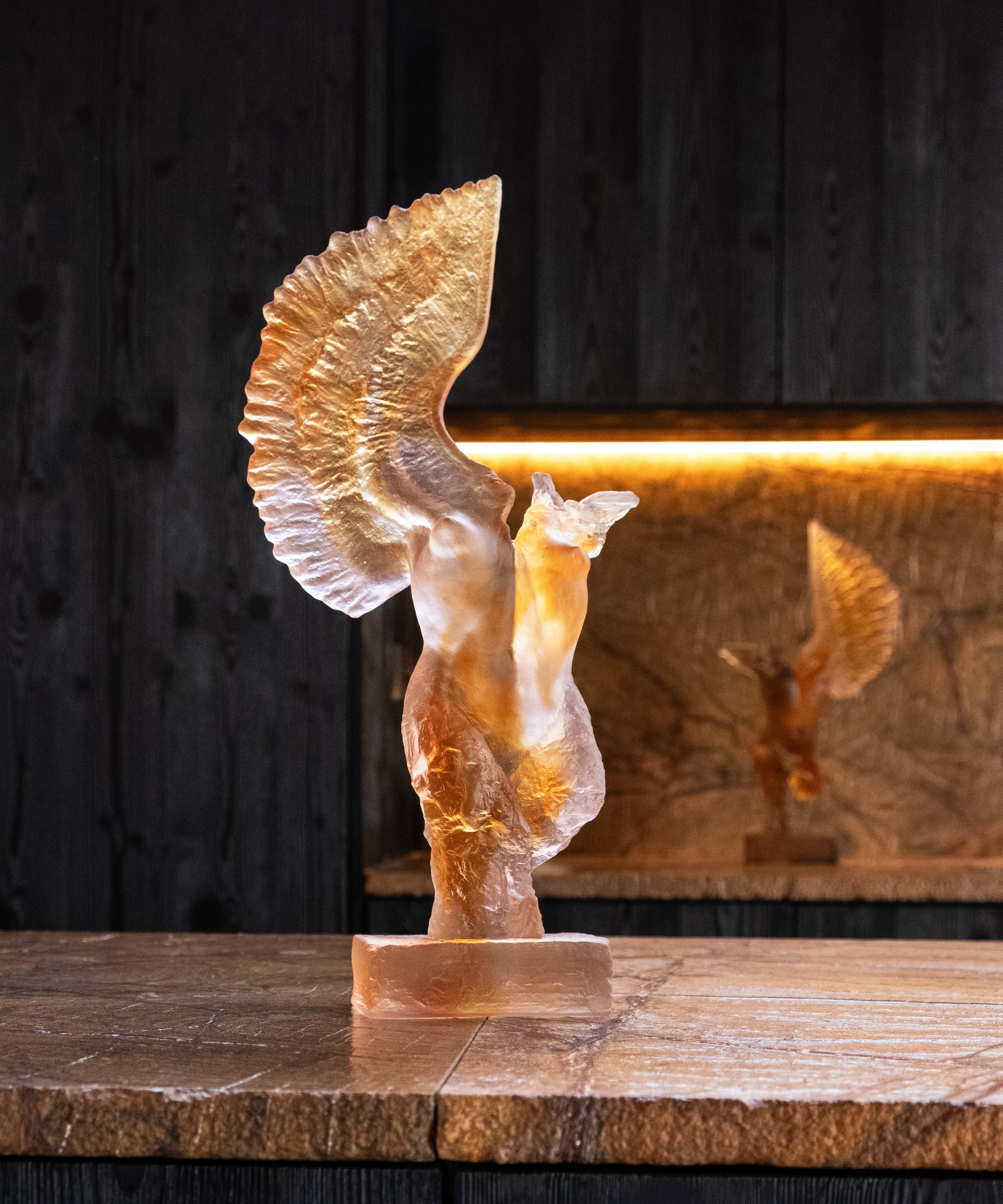 Alcyone de Dominique Vial 99ex