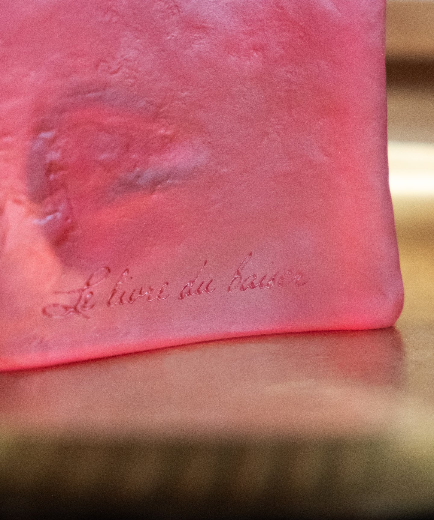 Le livre du baiser de Dominique Vial 125ex