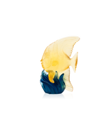 Maya Platax moyen modèle Jaune et bleu