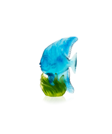 Maya Platax moyen modèle Bleu et vert