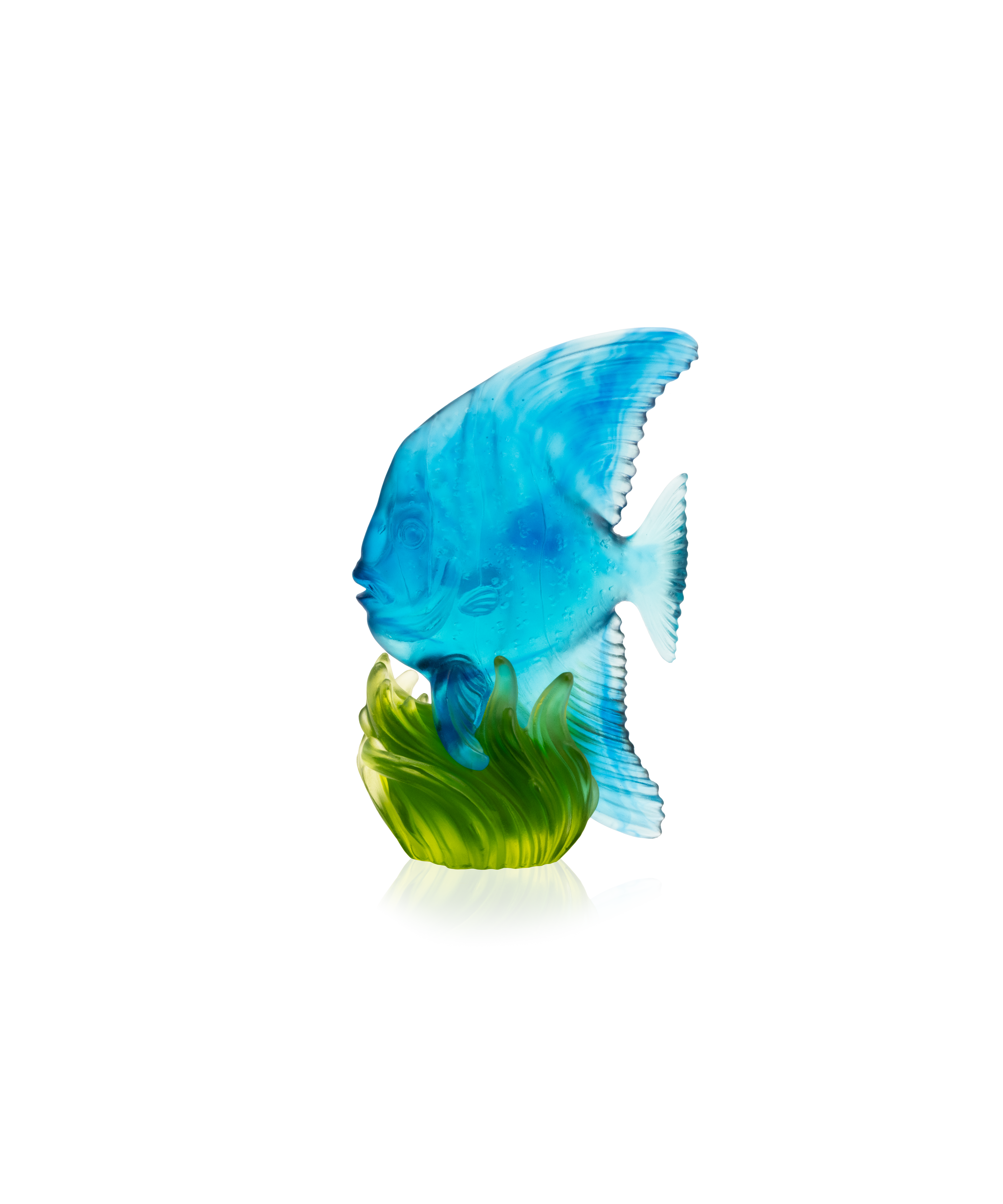 Maya Platax moyen modèle Bleu et vert