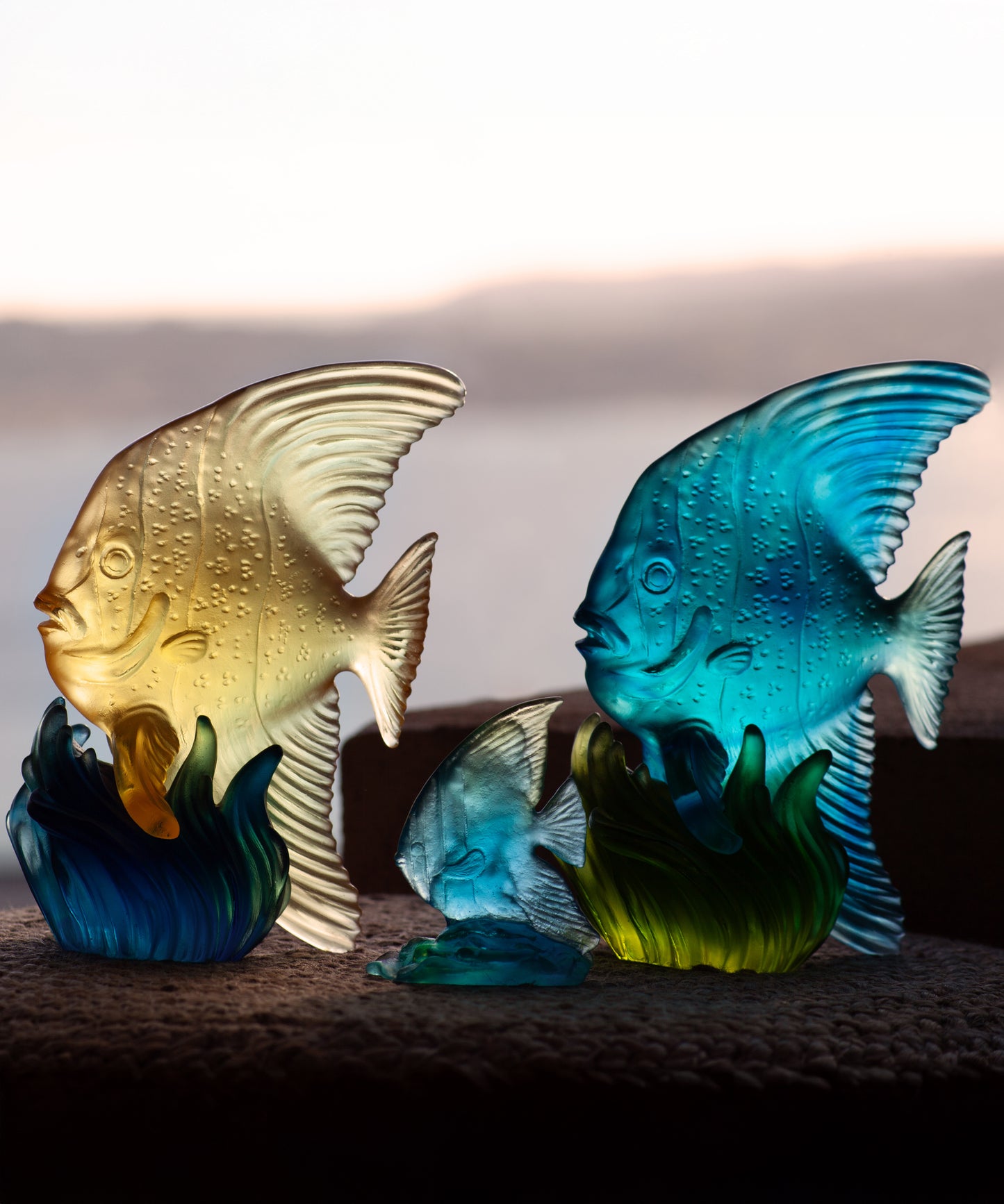 Maya Medium platax Blue and green