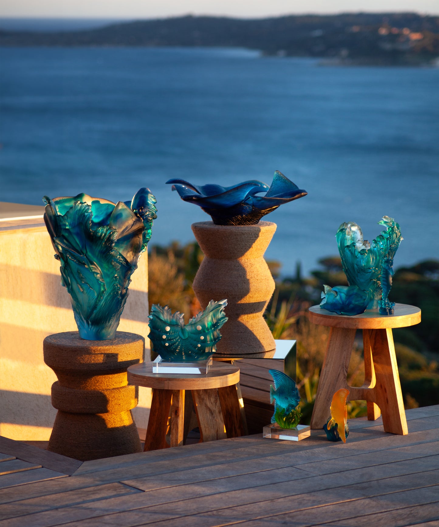 Maya Medium platax Blue and green